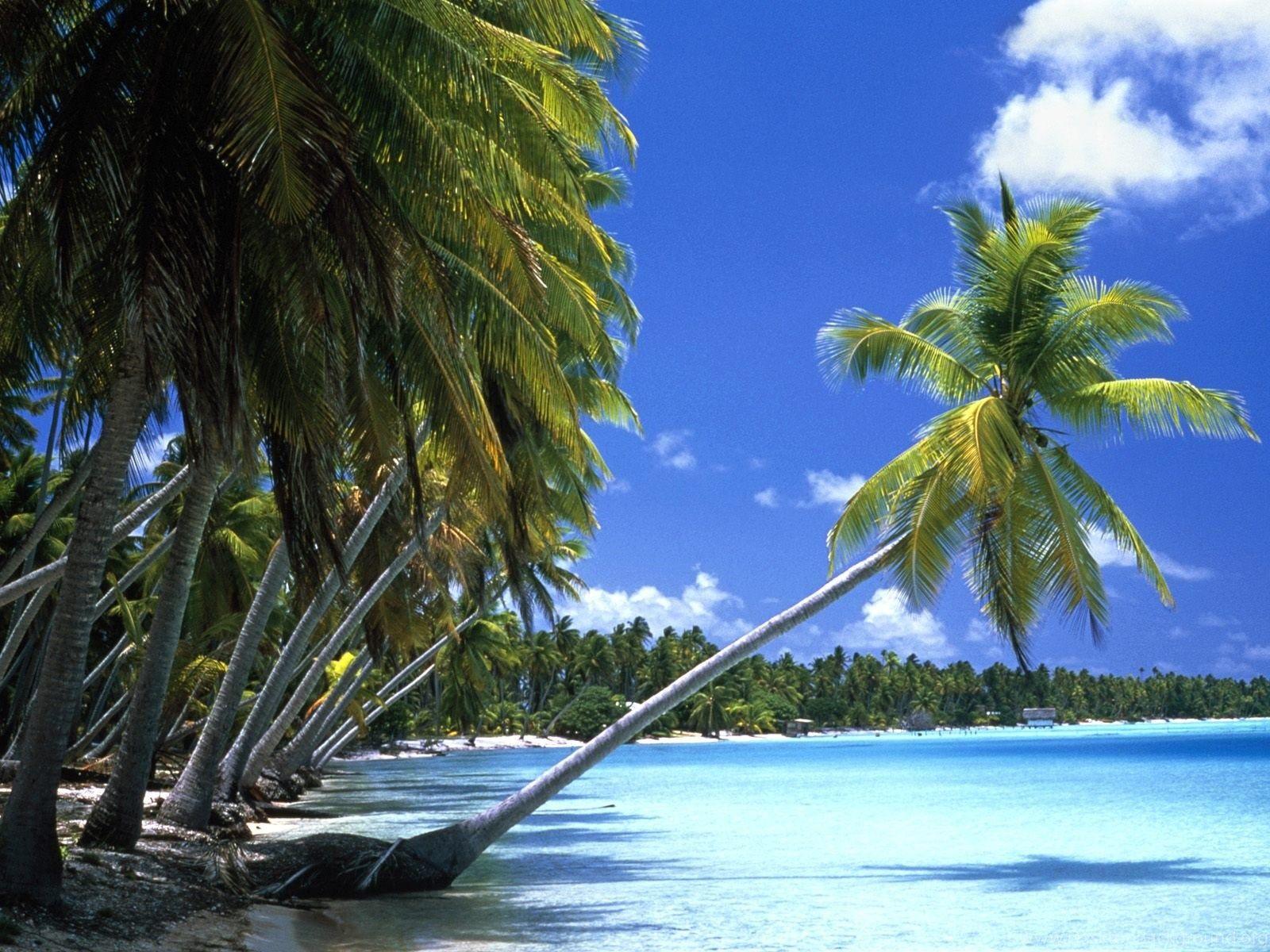 Tahiti Beach Wallpapers - Top Free Tahiti Beach Backgrounds ...