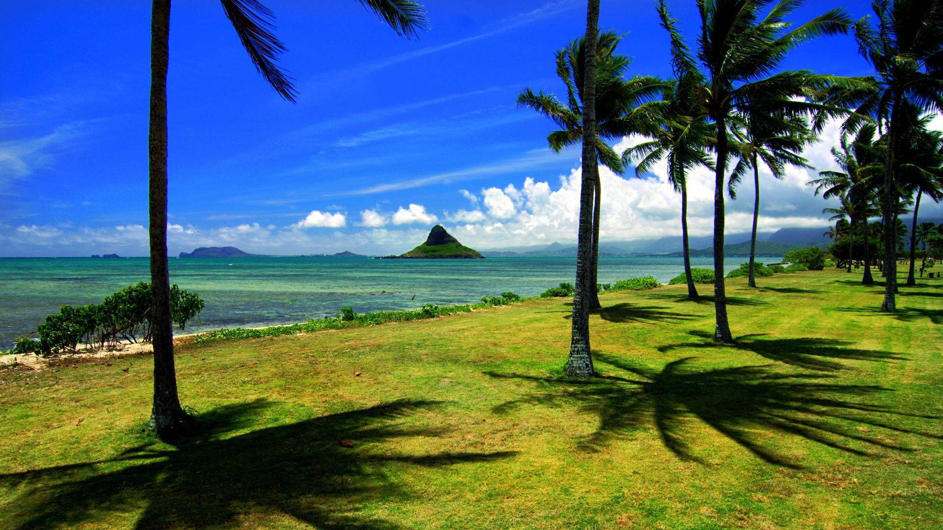 1920x1080 Background, wallpaper, chinaman, desktop, beach, hawaii