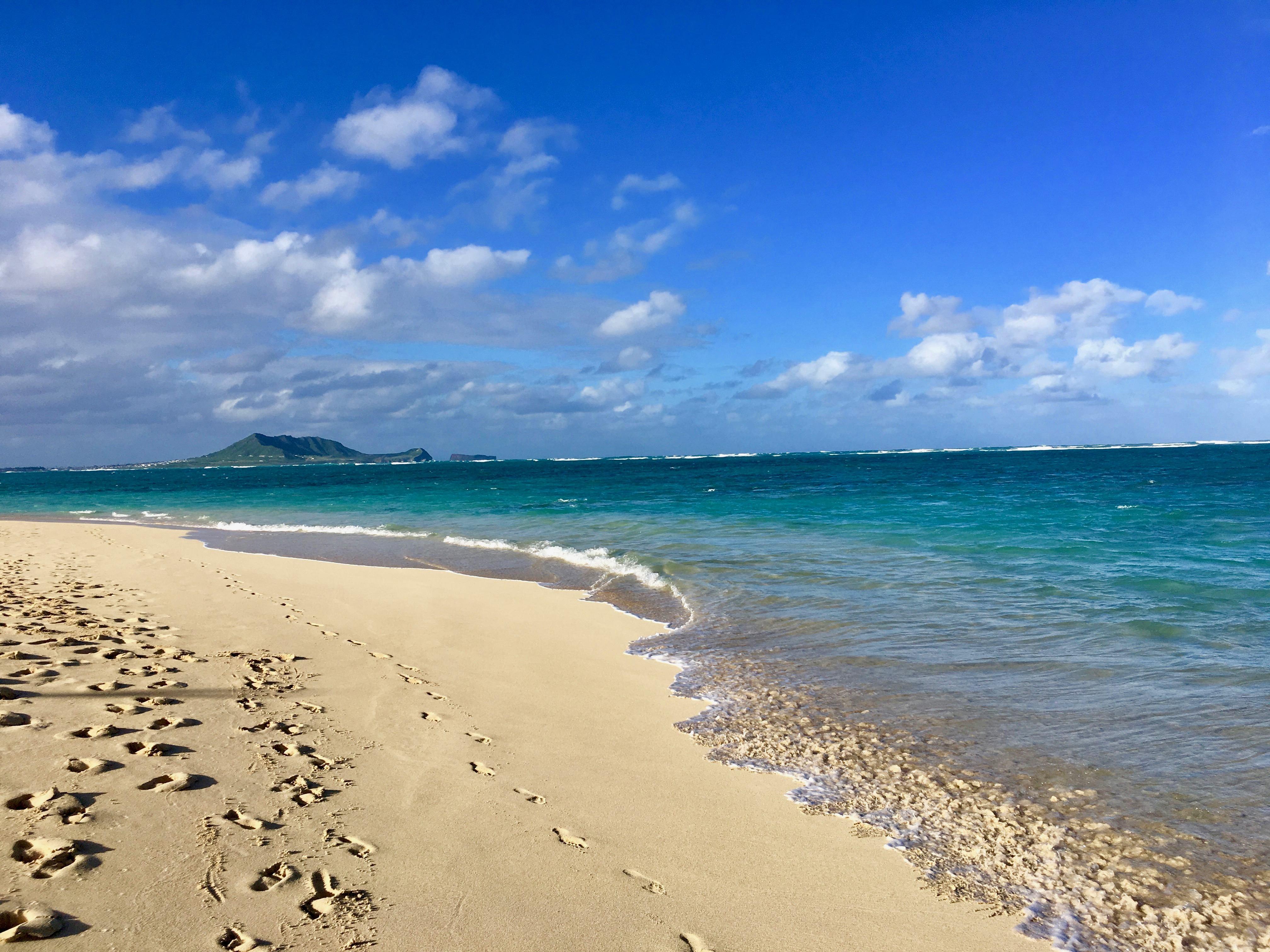 4032x3024 Family Friendly Beach & Nature Exploration In Oahu