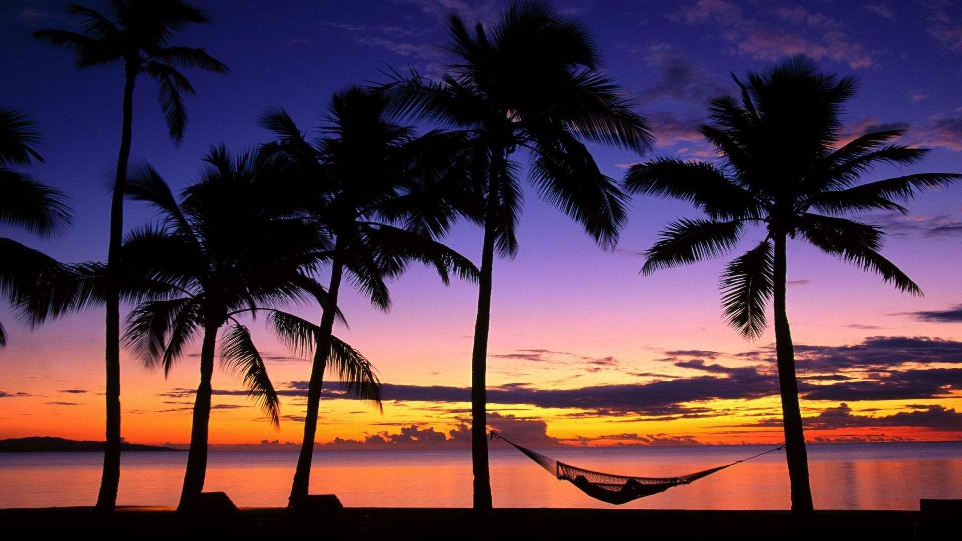 1920x1080 Tropical Beach Sunset With Hammock Cool Wallpaper. Beach sunset, Beautiful sunset, Places to go