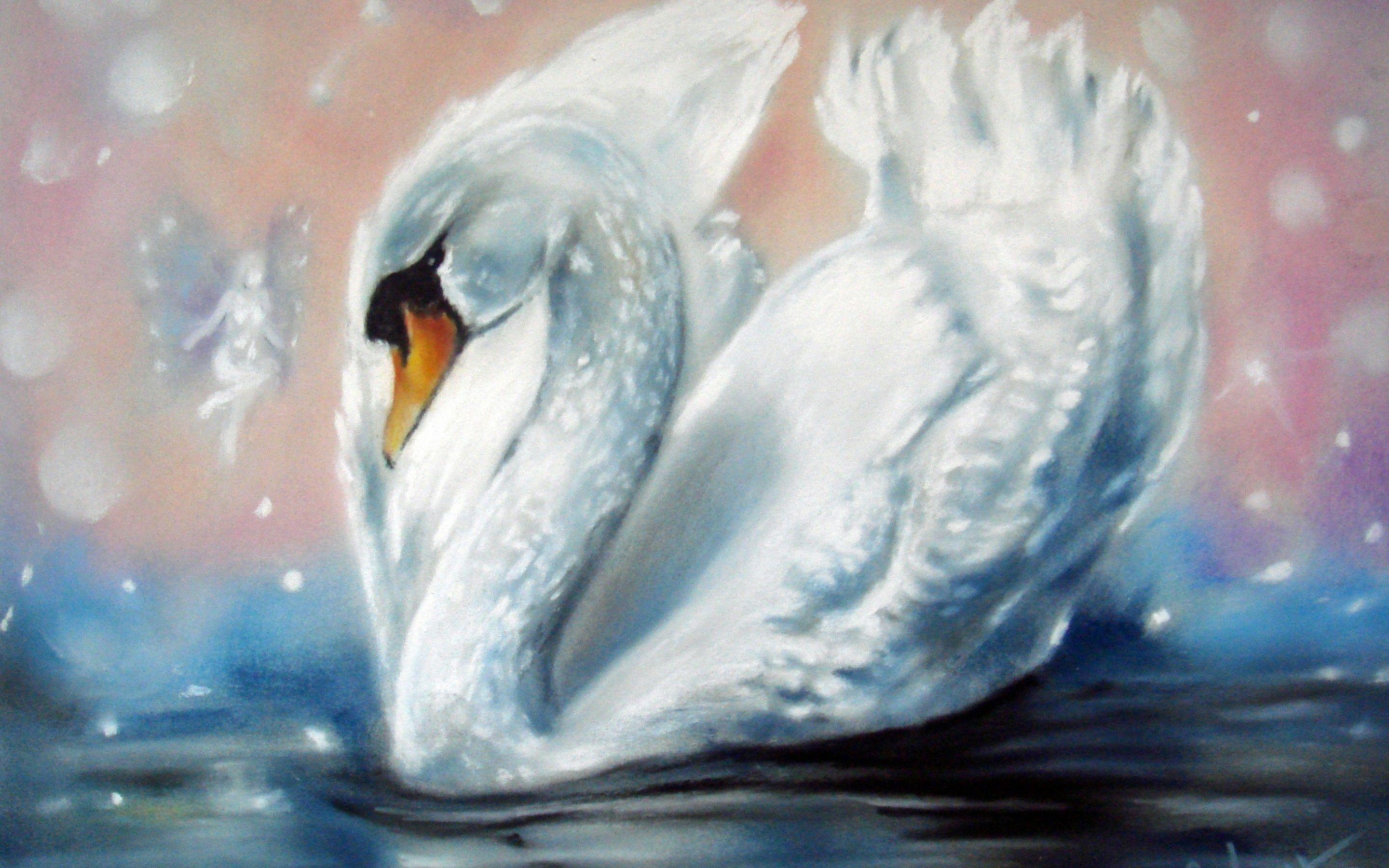2880x1800 painting, Swan, White, Wings, Water, Fairy Wallpaper HD / Desktop and Mobile Background
