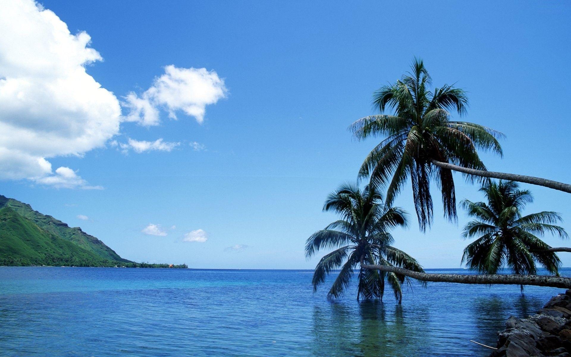1920x1200 Tahiti Wallpaper HD HD Wallpaper