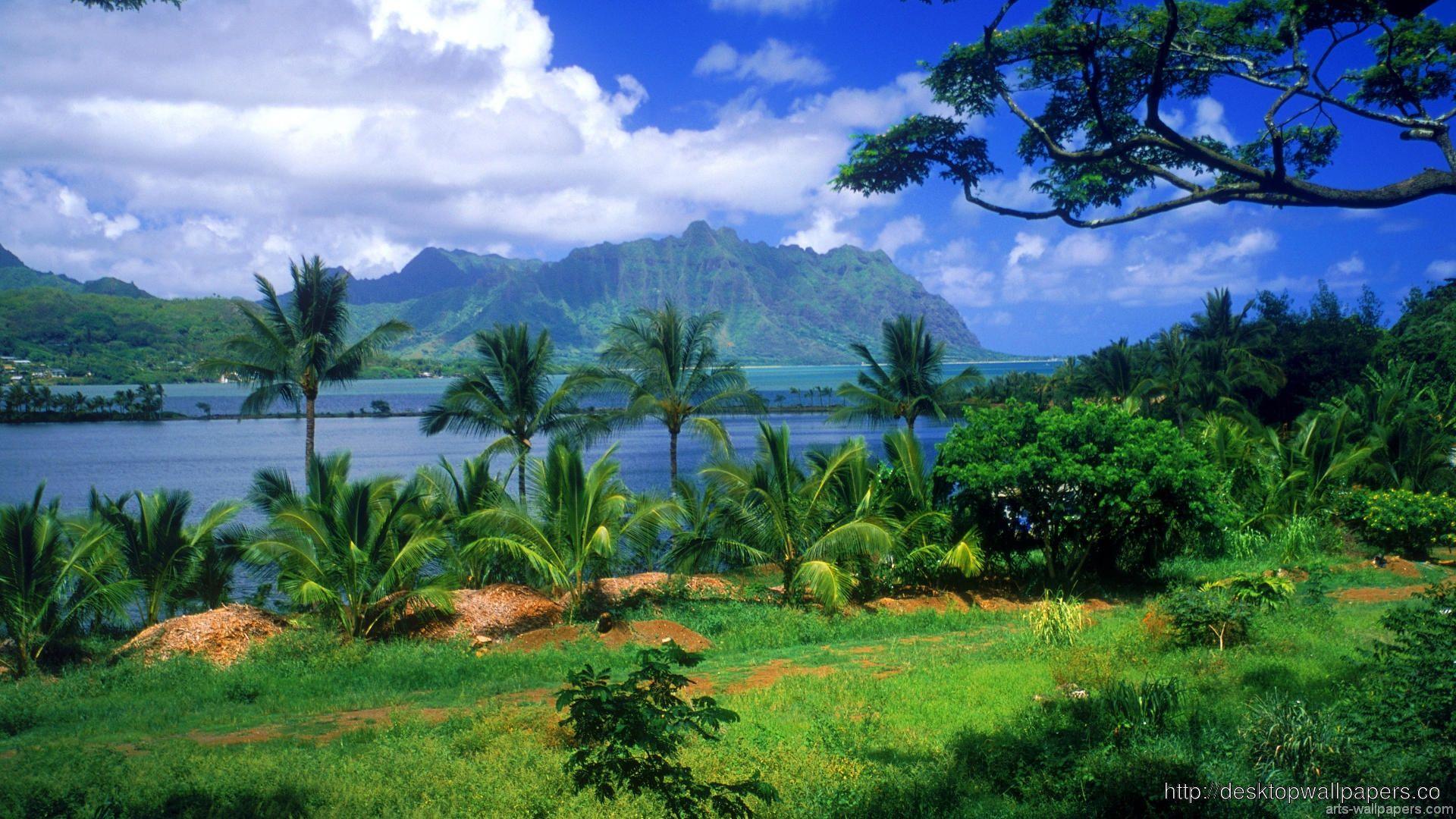 1920x1080 Tahiti Beach Wallpaper Hd 148Desktop Wallpaper Free Download