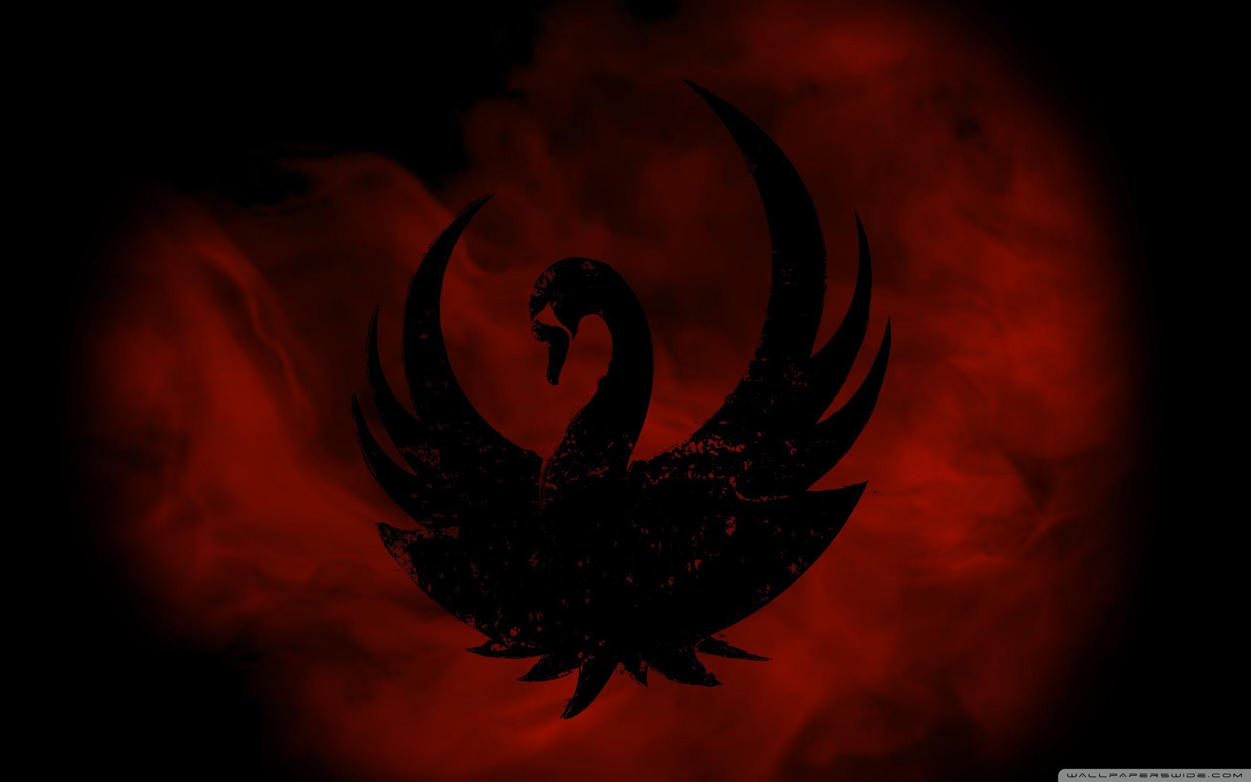 2560x1600 The Black Swan Ultra HD Desktop Background Wallpaper for 4K UHD TV : Tablet