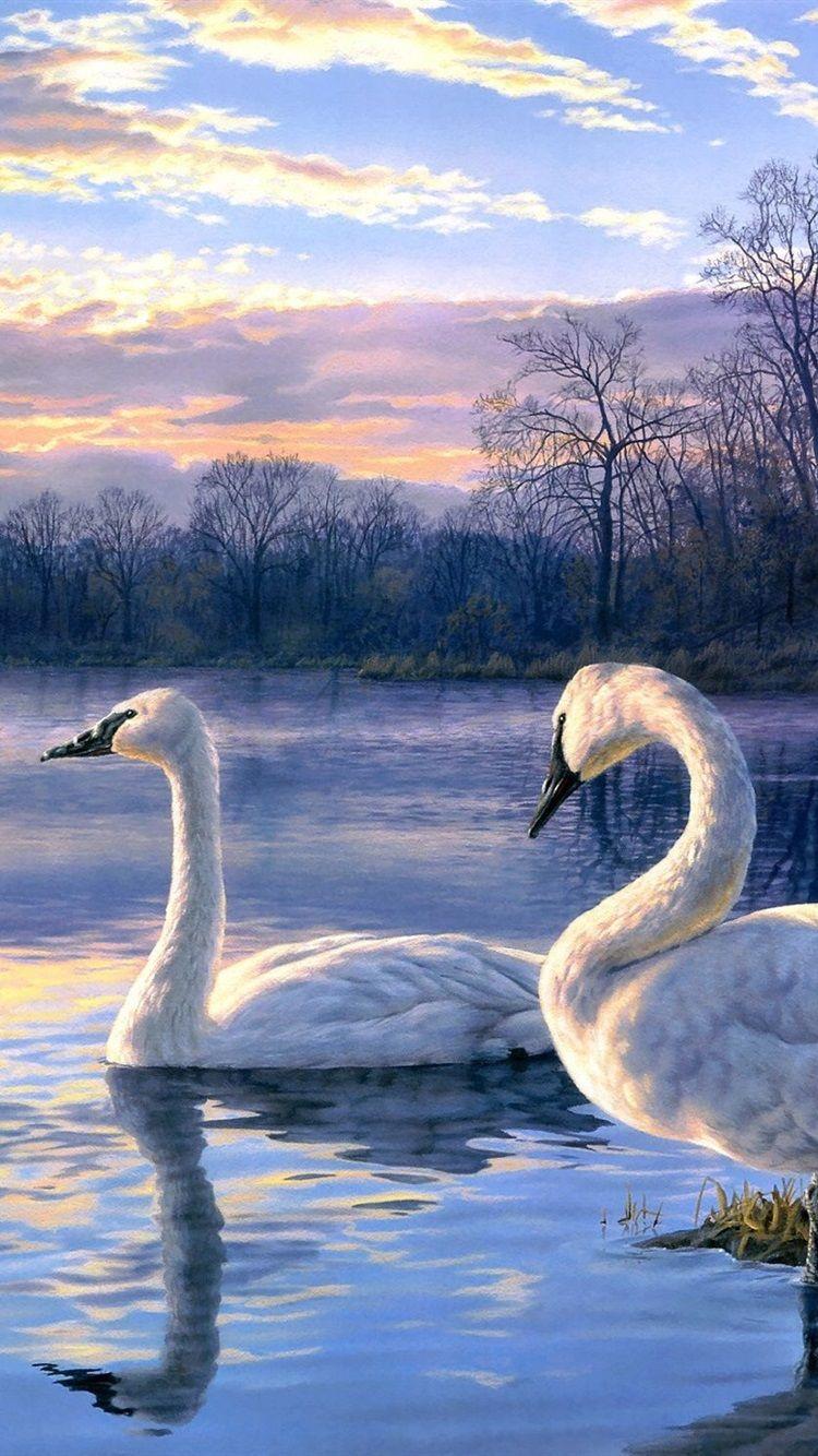 750x1334 Wallpaper Art painting swan lake sunset landscape 2560x1440 QHD Picture, Image