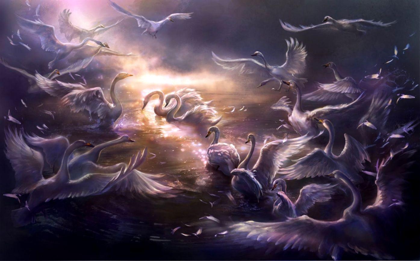 1395x868 Swan Lake Wallpaper