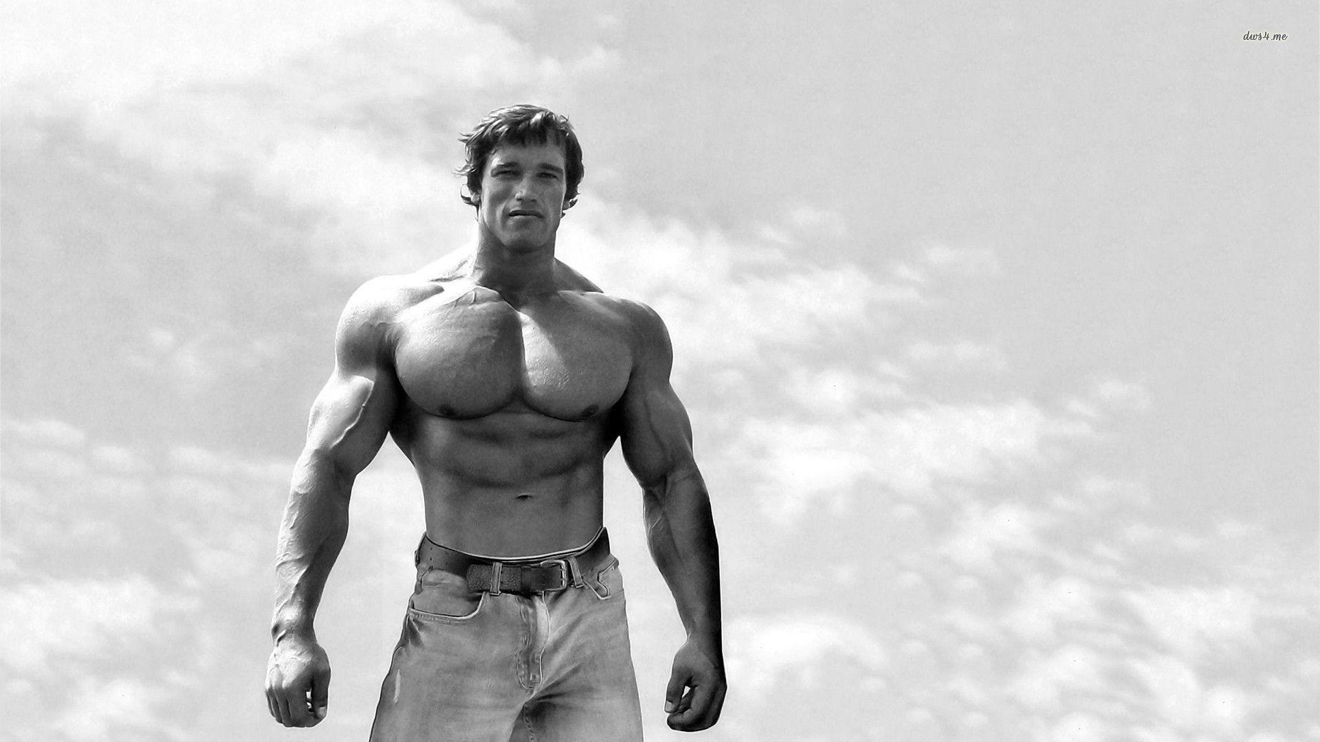 1920x1080 Arnold Schwarzenegger Wallpaper & Background For FREE