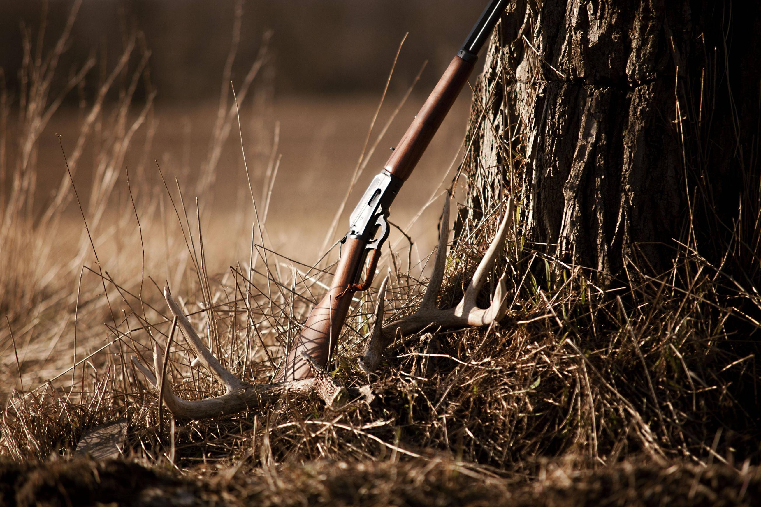 2611x1741 Rifle Full HD Wallpaper and Background Imagex1741