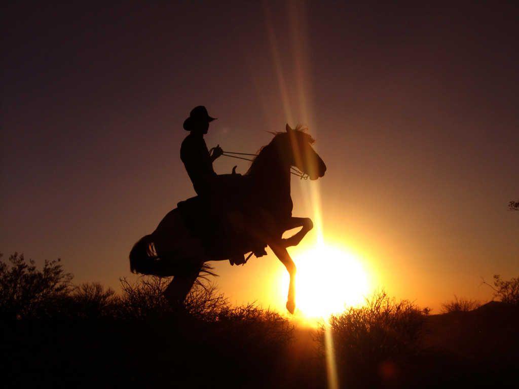 1024x768 Cowboy And Horse In 2. Literature In A Wired World