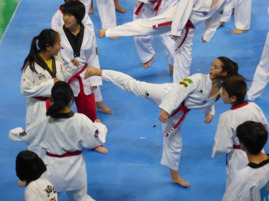 1024x768 wP1000448. Adel's Taekwondo Pages