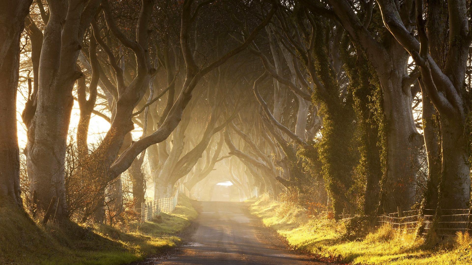 Game of Thrones Scenery Wallpapers - Top Free Game of Thrones Scenery