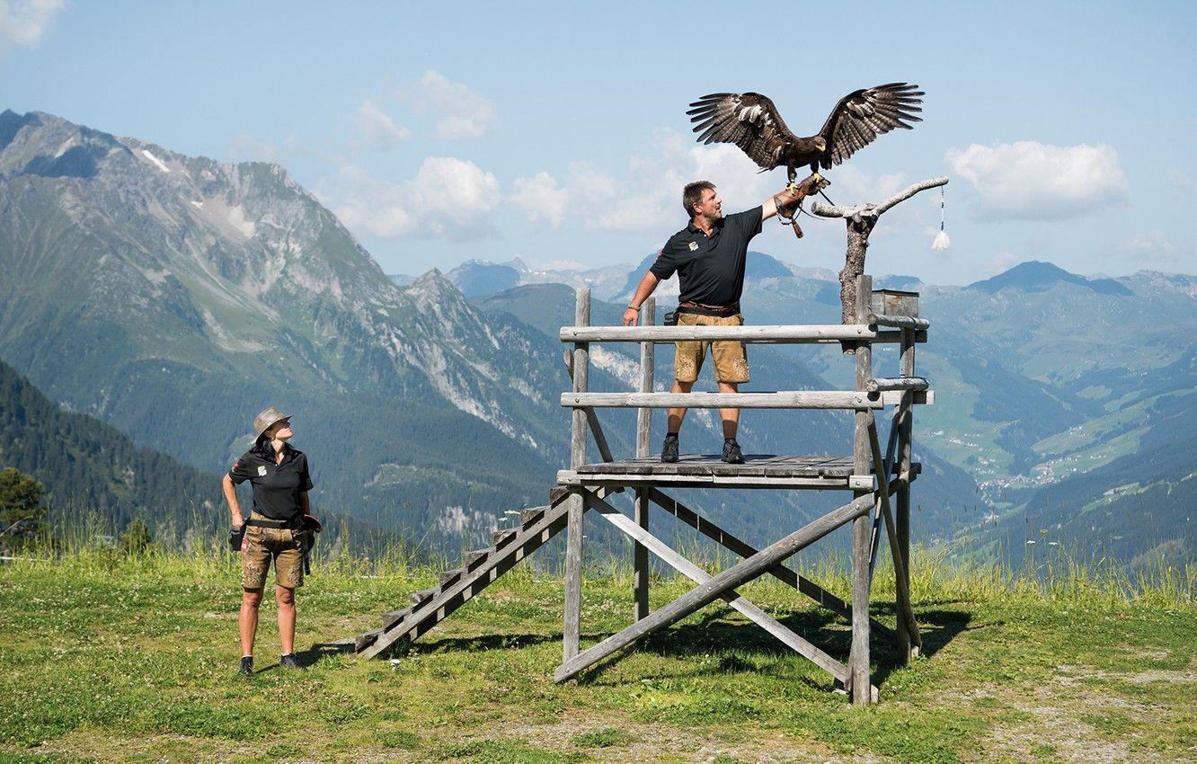 1332x850 Wallpaper woman, beautiful, man, eagle, Falconry image for desktop, section разное