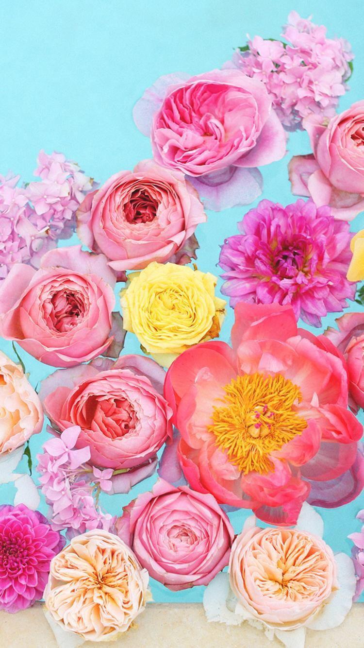 750x1334 Downloaded from Girly Wallpaper. /app