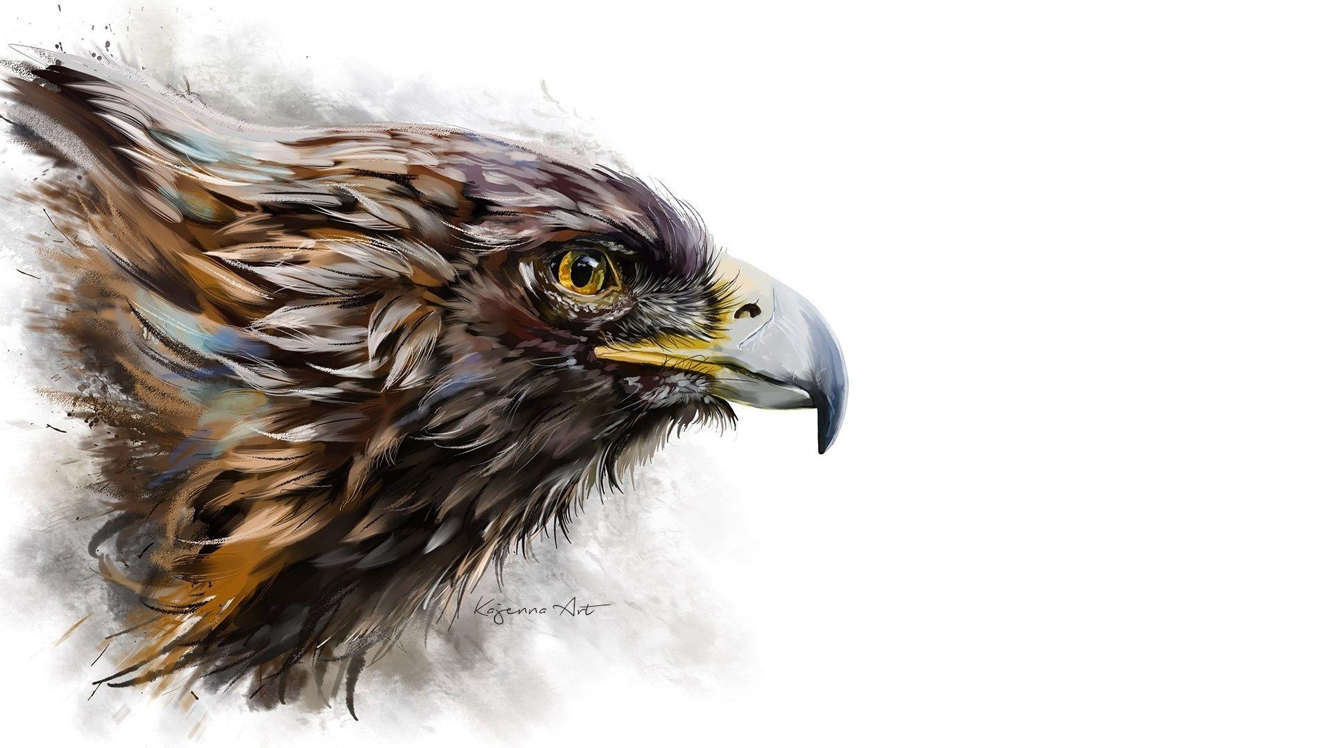 1920x1080 Wallpaper Birds eagle Beak Head Animals White background 1920x1080