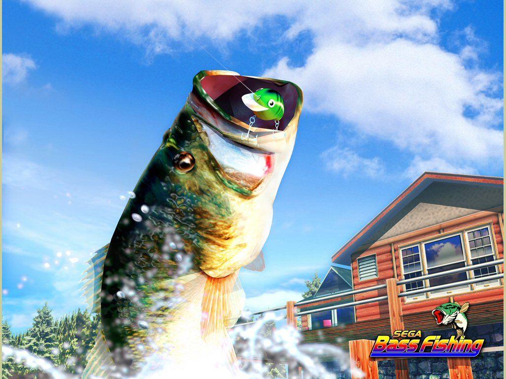 1024x768 Bass Fishing Wallpaper