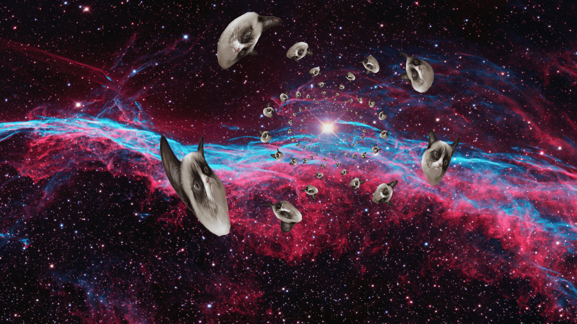 1920x1080 EPIC GRUMPY CAT WALLPAPER!