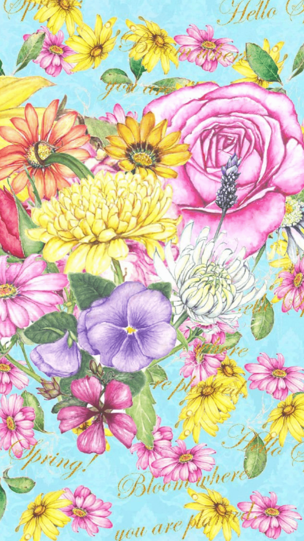 Betsey Johnson Desktop Wallpapers - Top Free Betsey Johnson Desktop