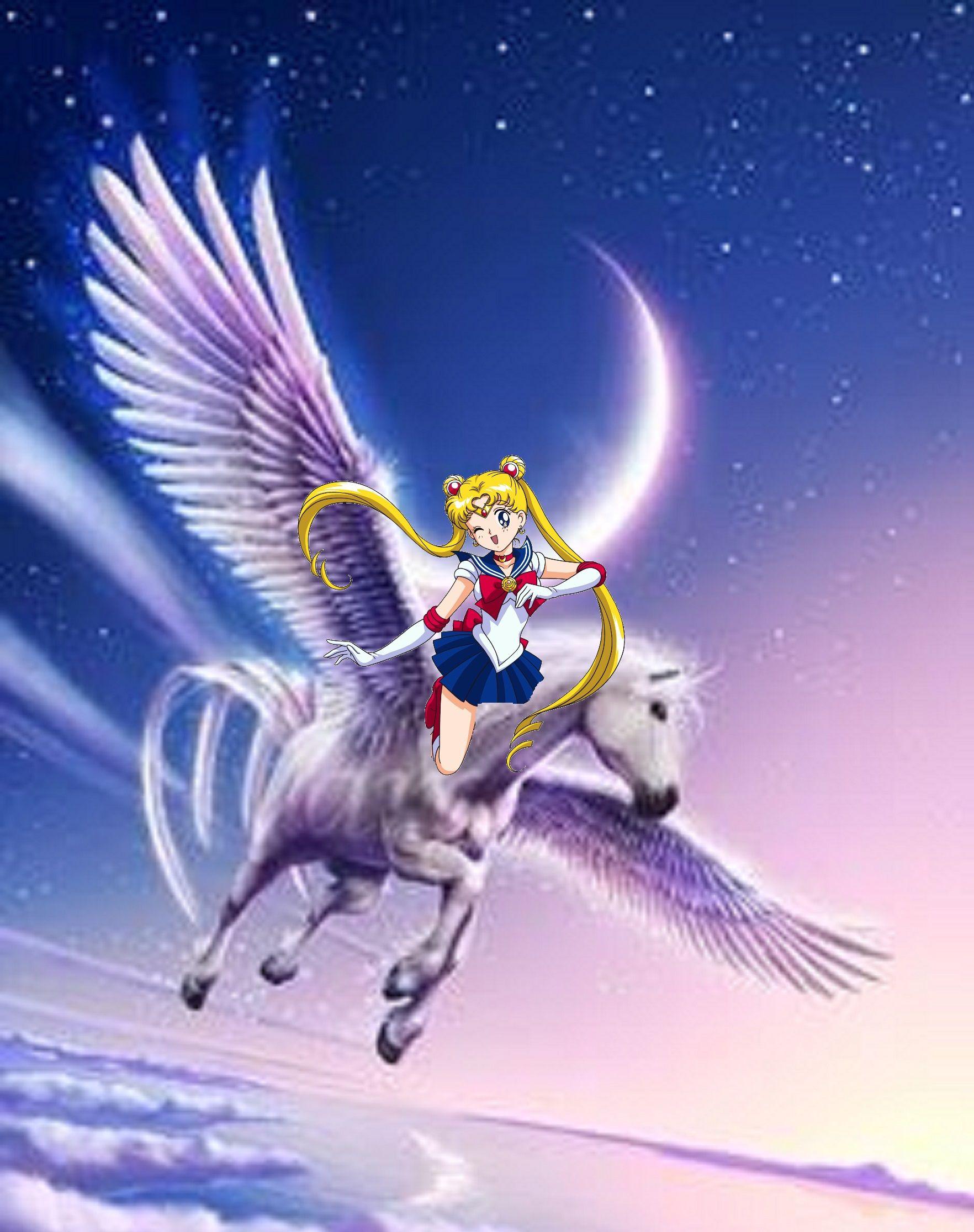 1764x2232 Sailor Moon rides on her Beautiful Pegasus Moon Fan Art