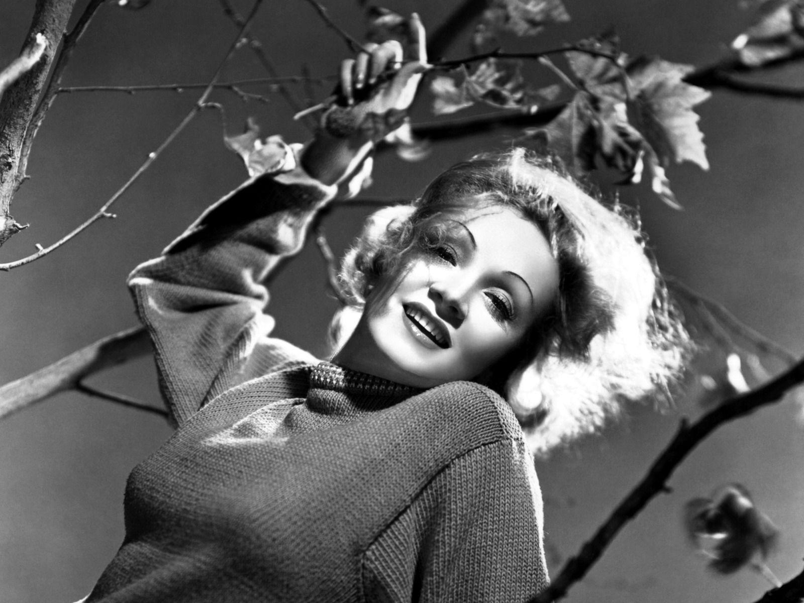 1600x1200 Photos Marlene Dietrich Celebrities