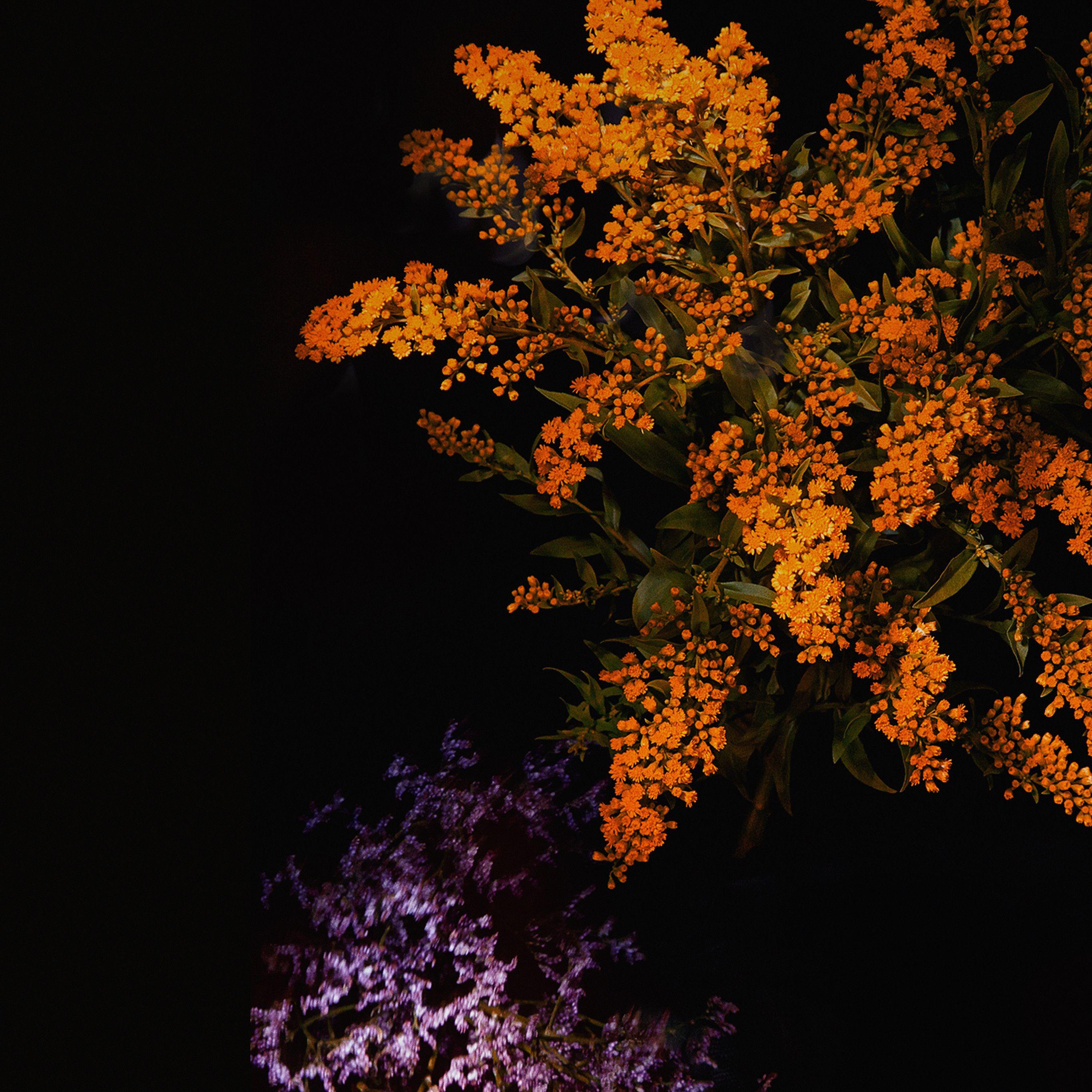 2732x2732 Apple Orange Flower Dark Ios9 Iphone6s