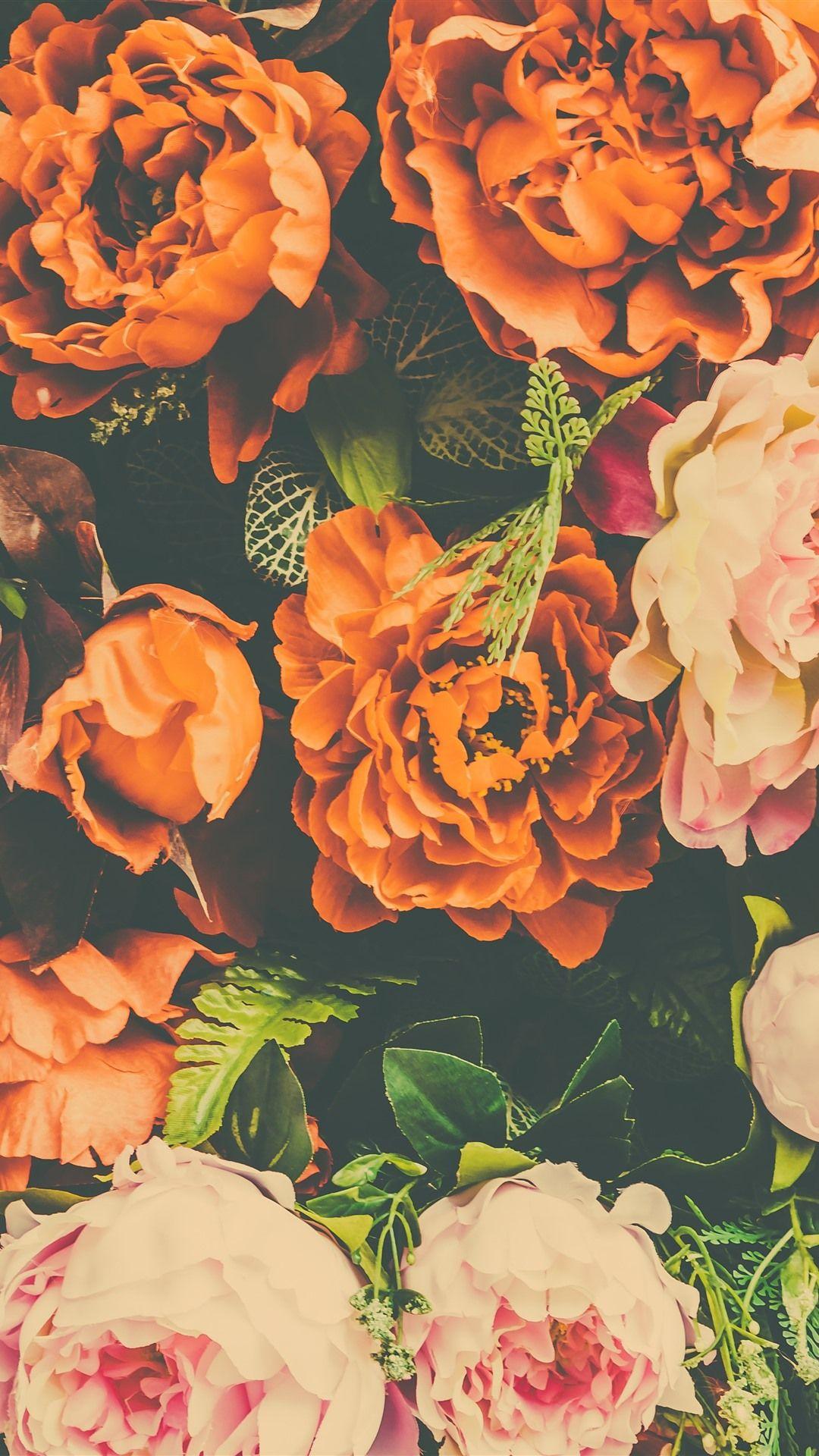 Orange Flower iPhone Wallpapers Top Free Orange Flower iPhone