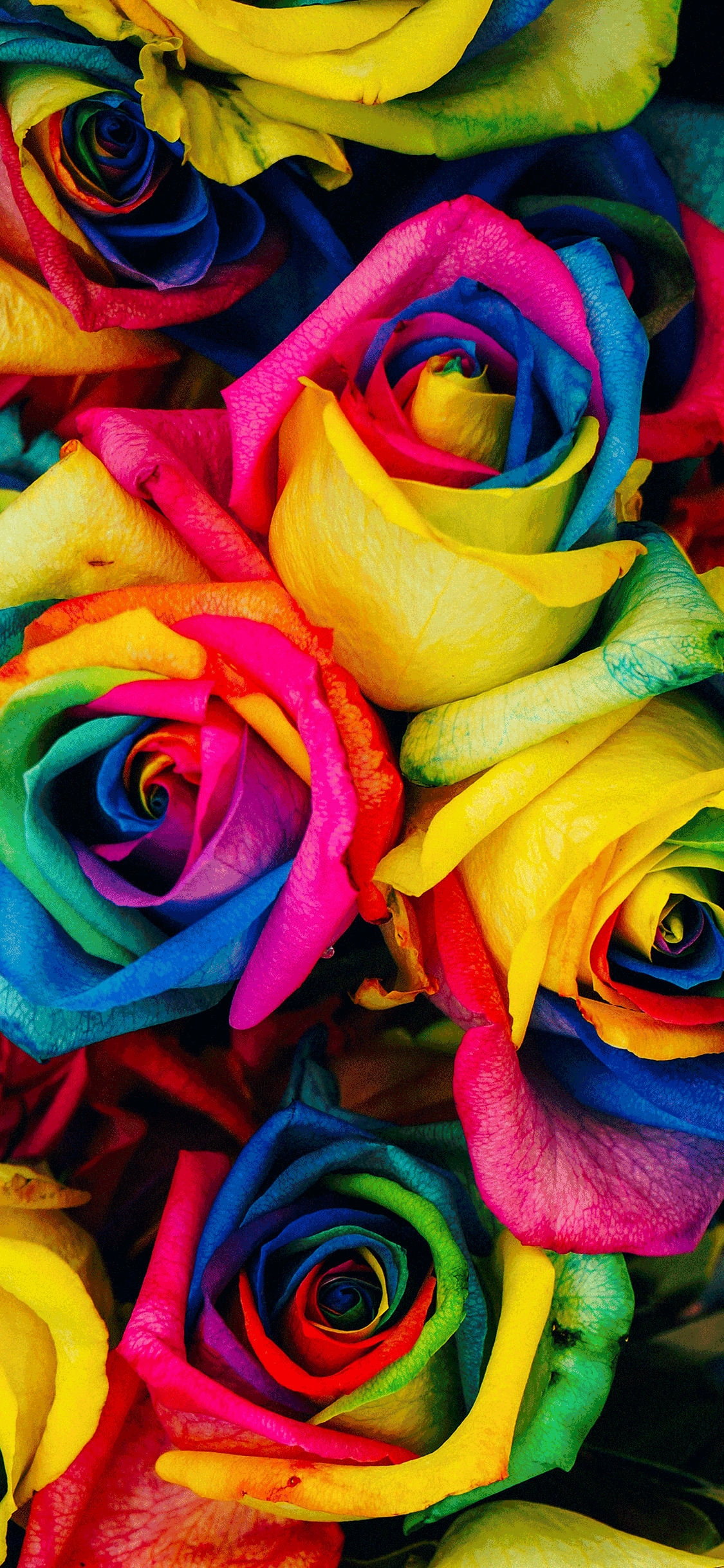 1125x2436 Colors Wallpaper for iPhone Pro Max, X, 6
