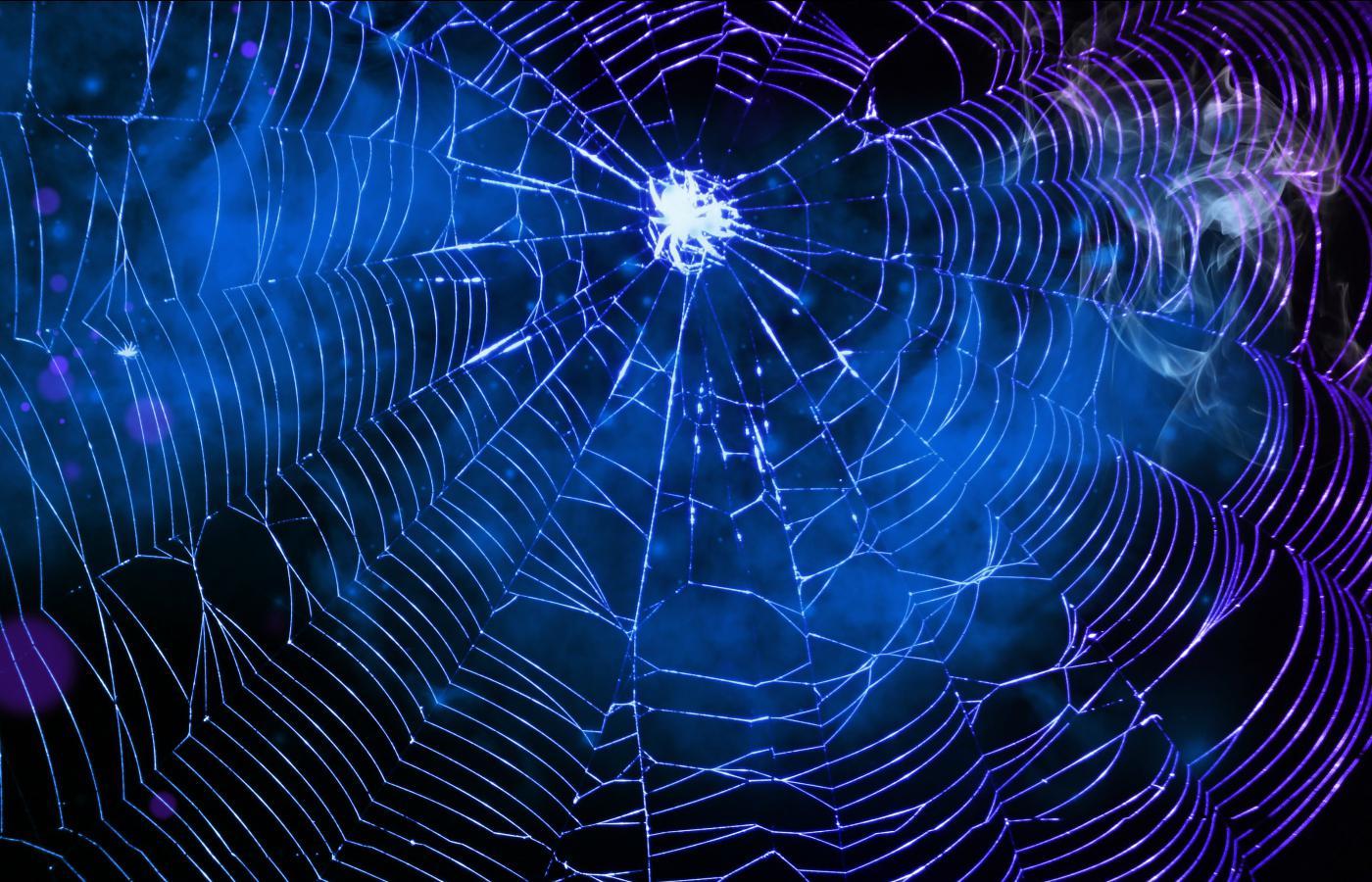 1400x900 Spider S Web Wallpaper 138529 HD Wallpaper [desktopinhqcom] Web Wallpaper HD HD Wallpaper