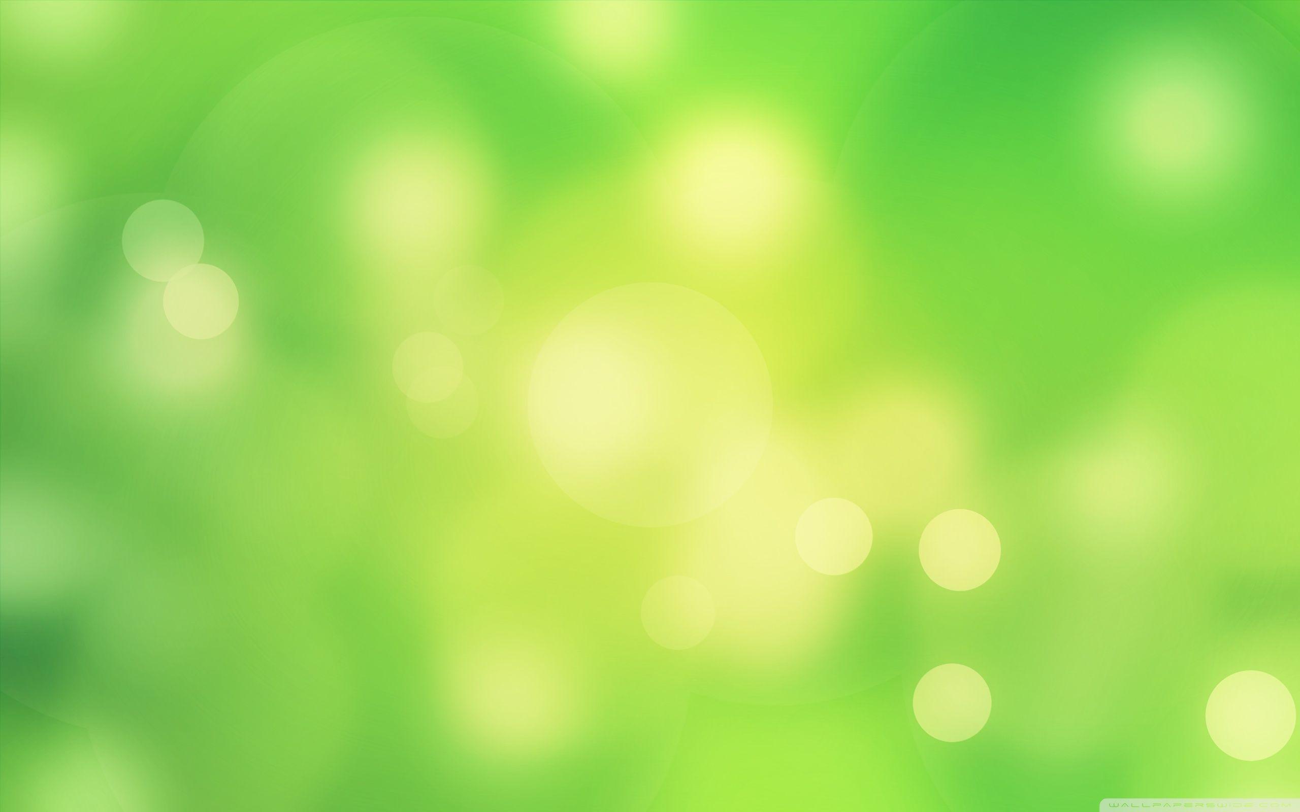 2560x1600 Download Spring Bokeh Vivid Green UltraHD Wallpaper