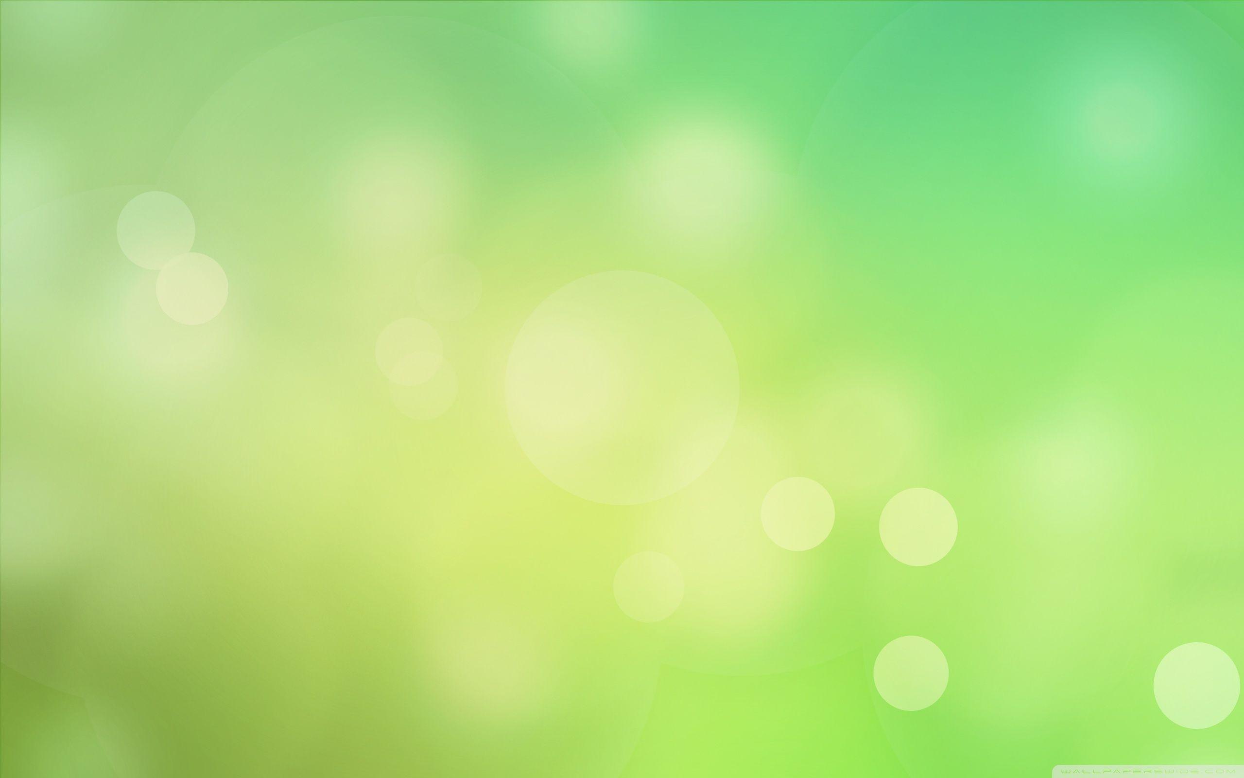 2560x1600 Spring Bokeh Ultra HD Desktop Background Wallpaper for 4K UHD TV : Multi Display, Dual Monitor : Tablet
