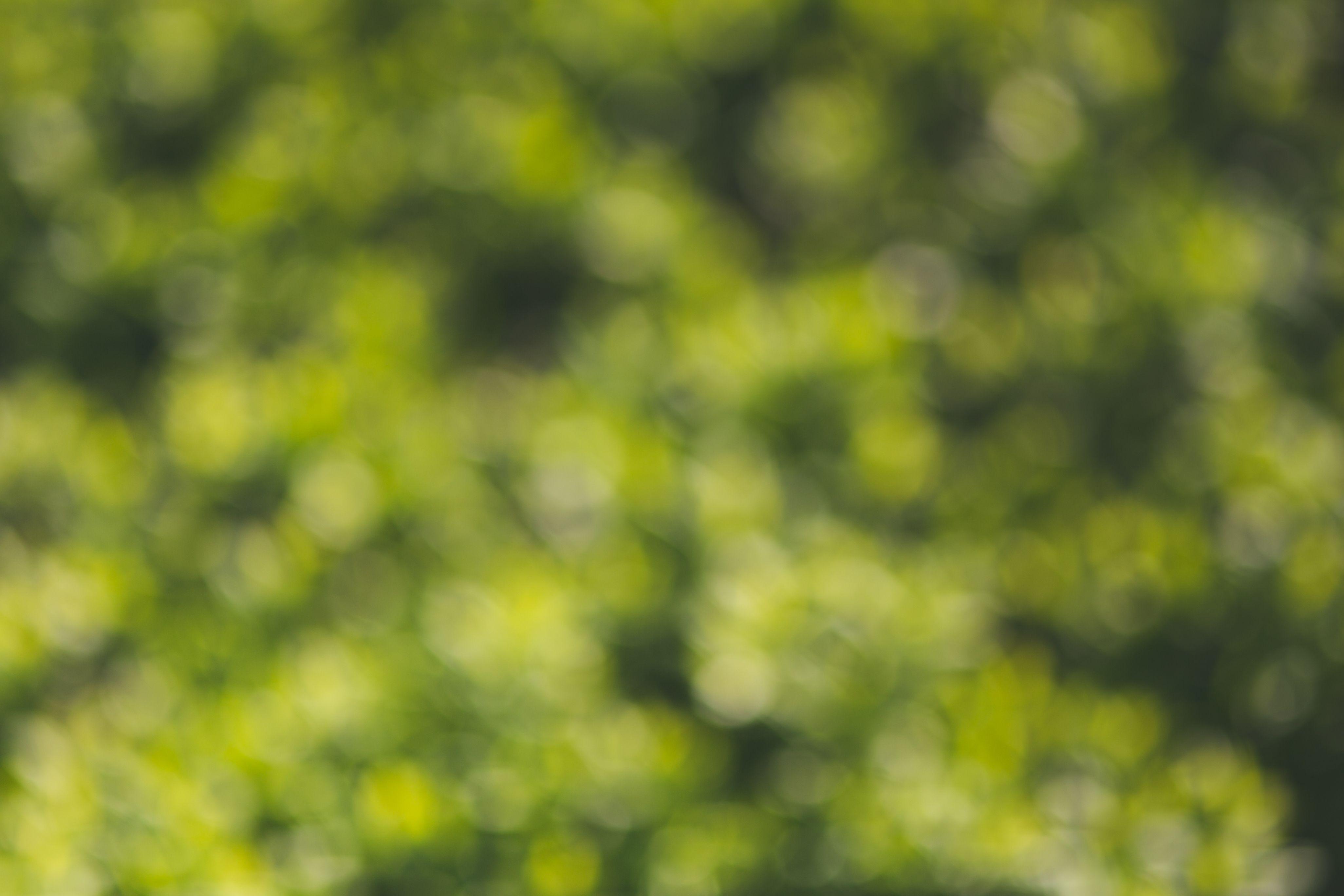 4104x2736 Green bokeh · Free