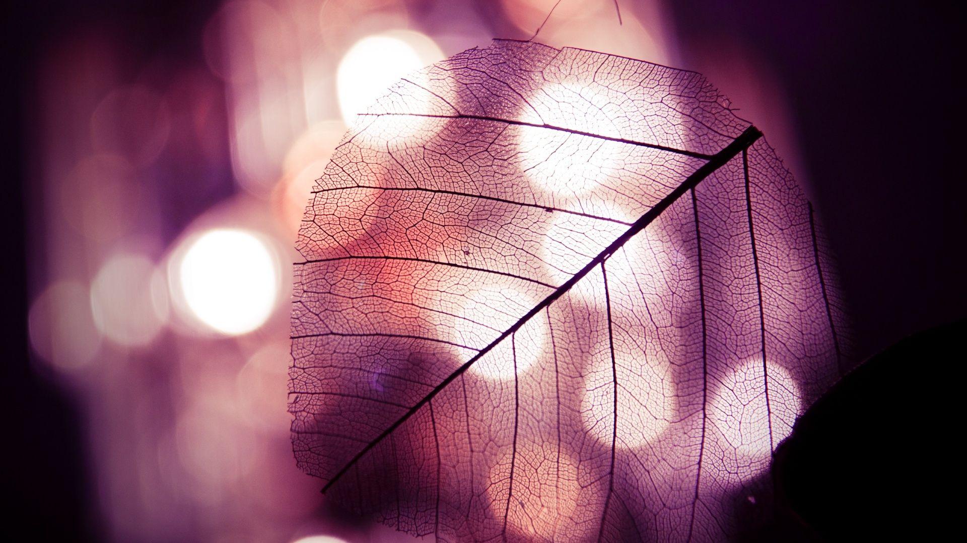 1920x1080 Bokeh Wallpaper