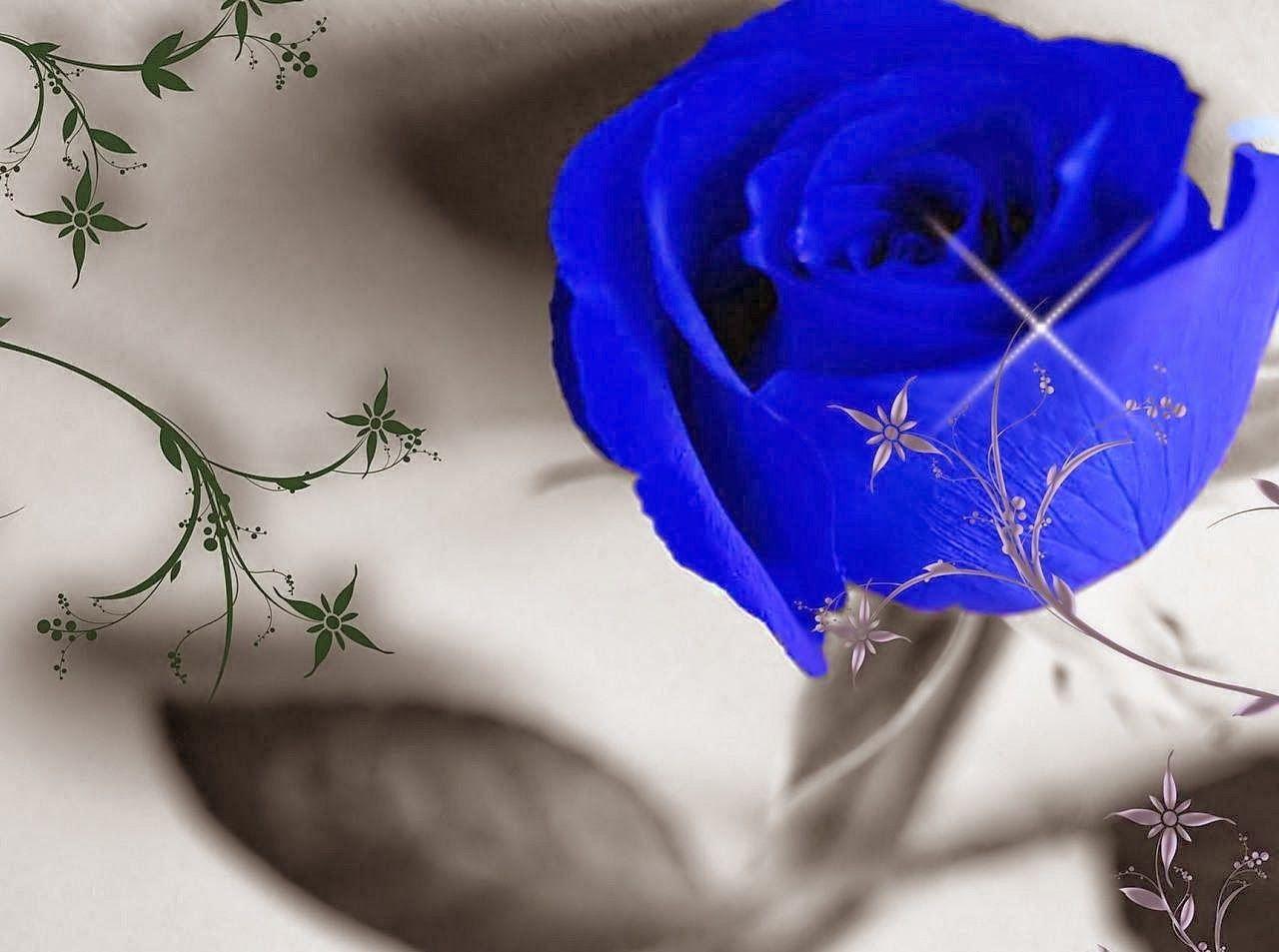 1280x953 Blue Rose Wallpaper for Desktop