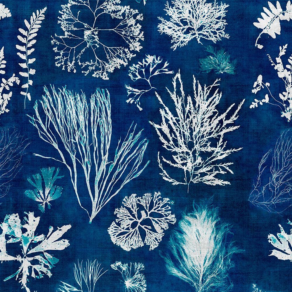 1000x1000 Algae Navy Blue Wallpaper