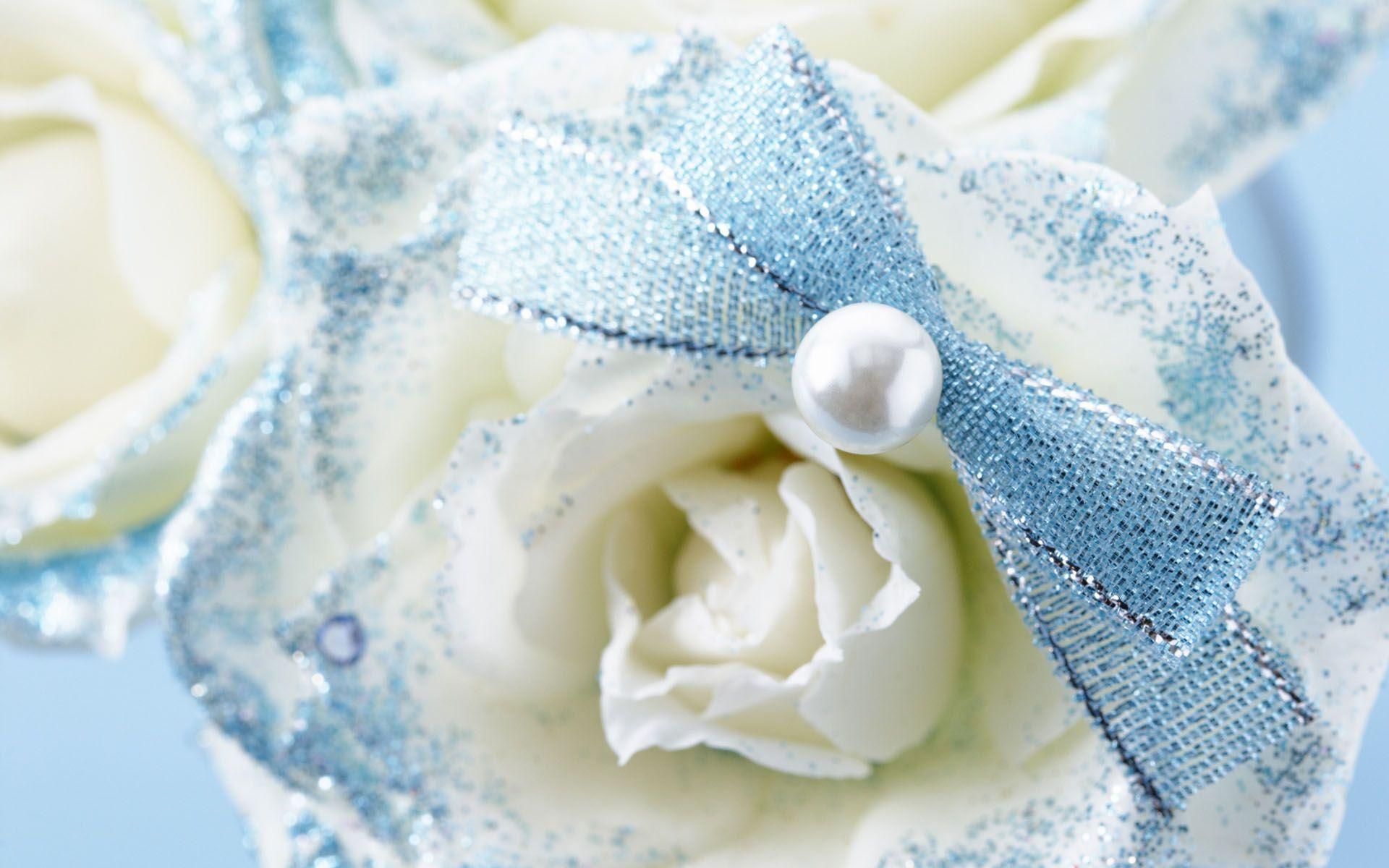 Blue and White Rose Wallpapers Top Free Blue and White Rose