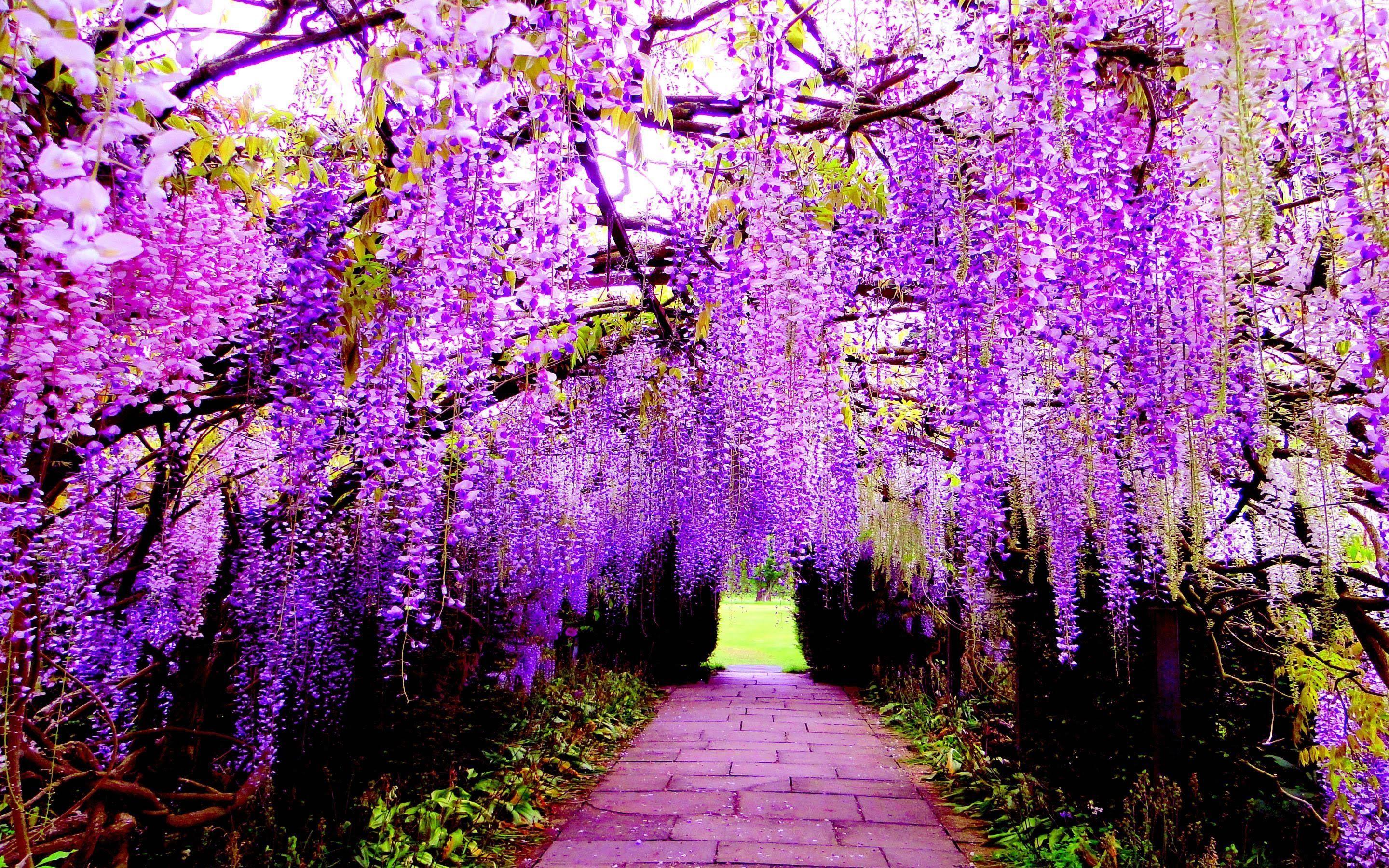 2880x1800 Beautiful Wallpaper