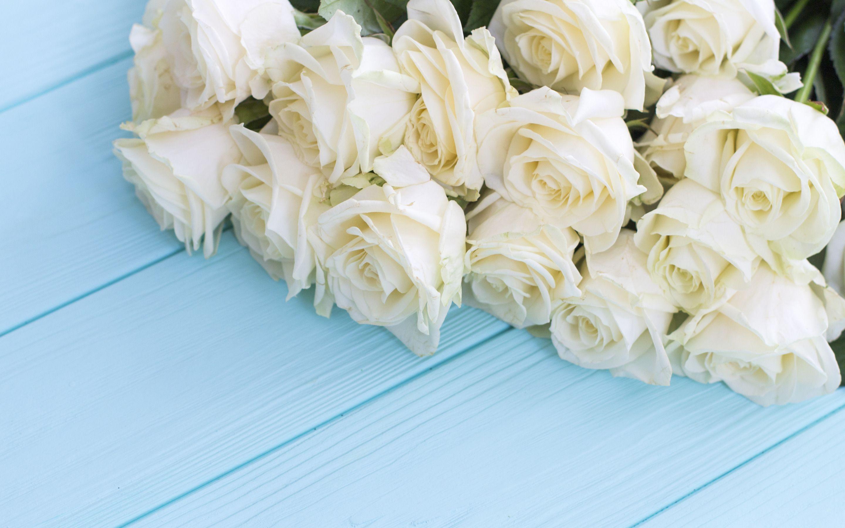 2880x1800 Download wallpaper white roses, a large bouquet of roses, blue wooden background, roses, beautiful flowers for desktop with resolution 2880x1800. High Quality HD picture wallpaper