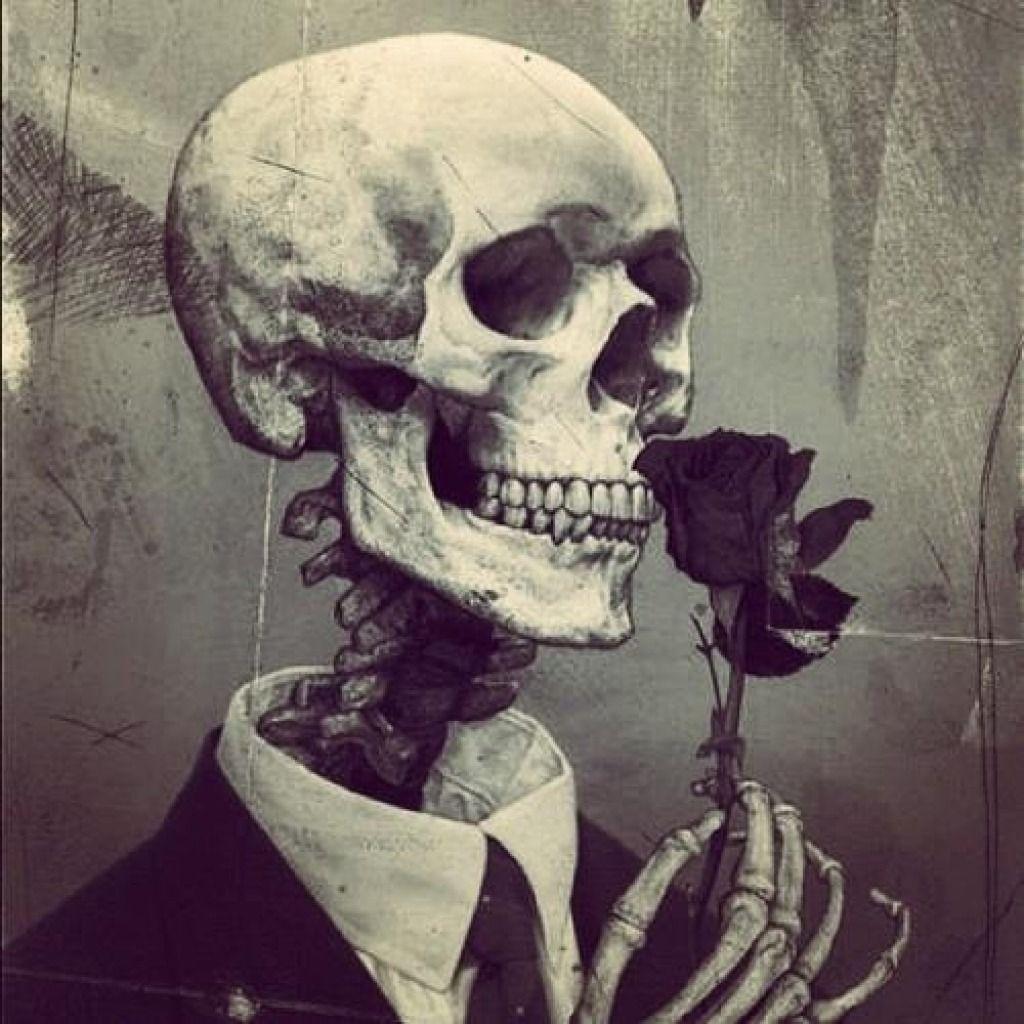 1024x1024 Skulls And Roses Background