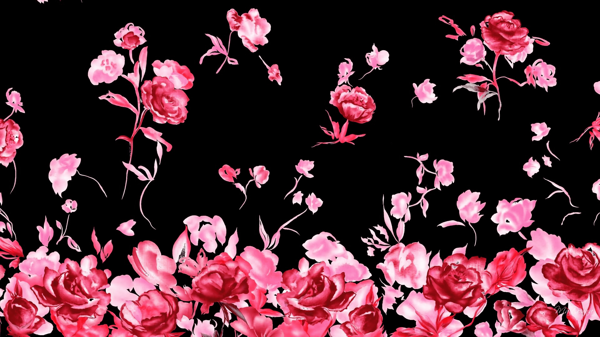 1920x1080 Skull And Rose HD
