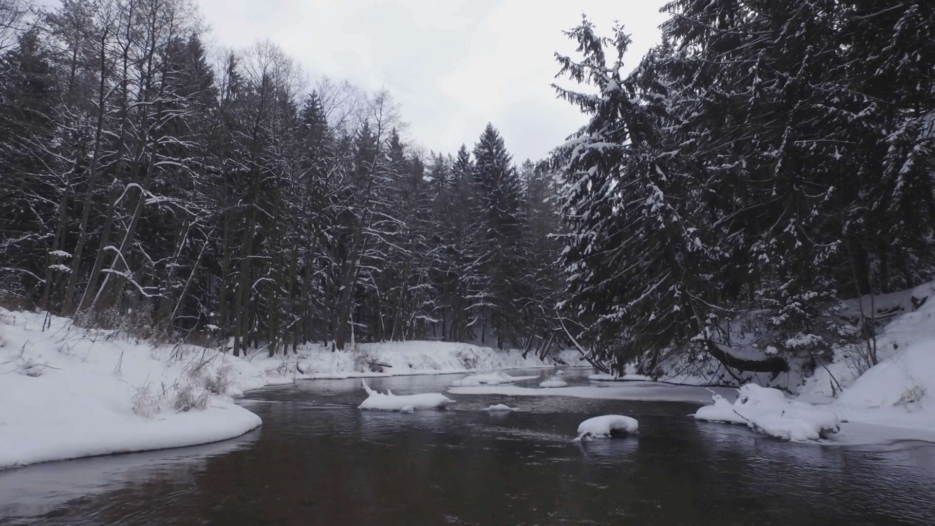 1920x1080 winter day snowy forest river aerial fly panorama 4k belarus Stock