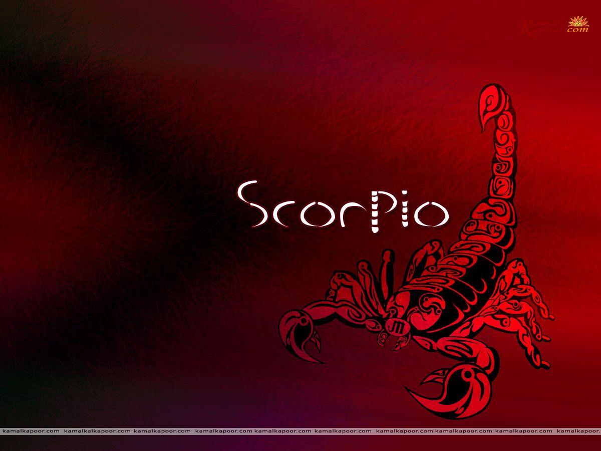 1200x900 Free download Scorpio Wallpaper Scorpio Wallpaper Zodiac Scorpio Designer [1200x900] for your Desktop, Mobile & Tablet. Explore Scorpio Wallpaper Picture. Scorpio Desktop Wallpaper