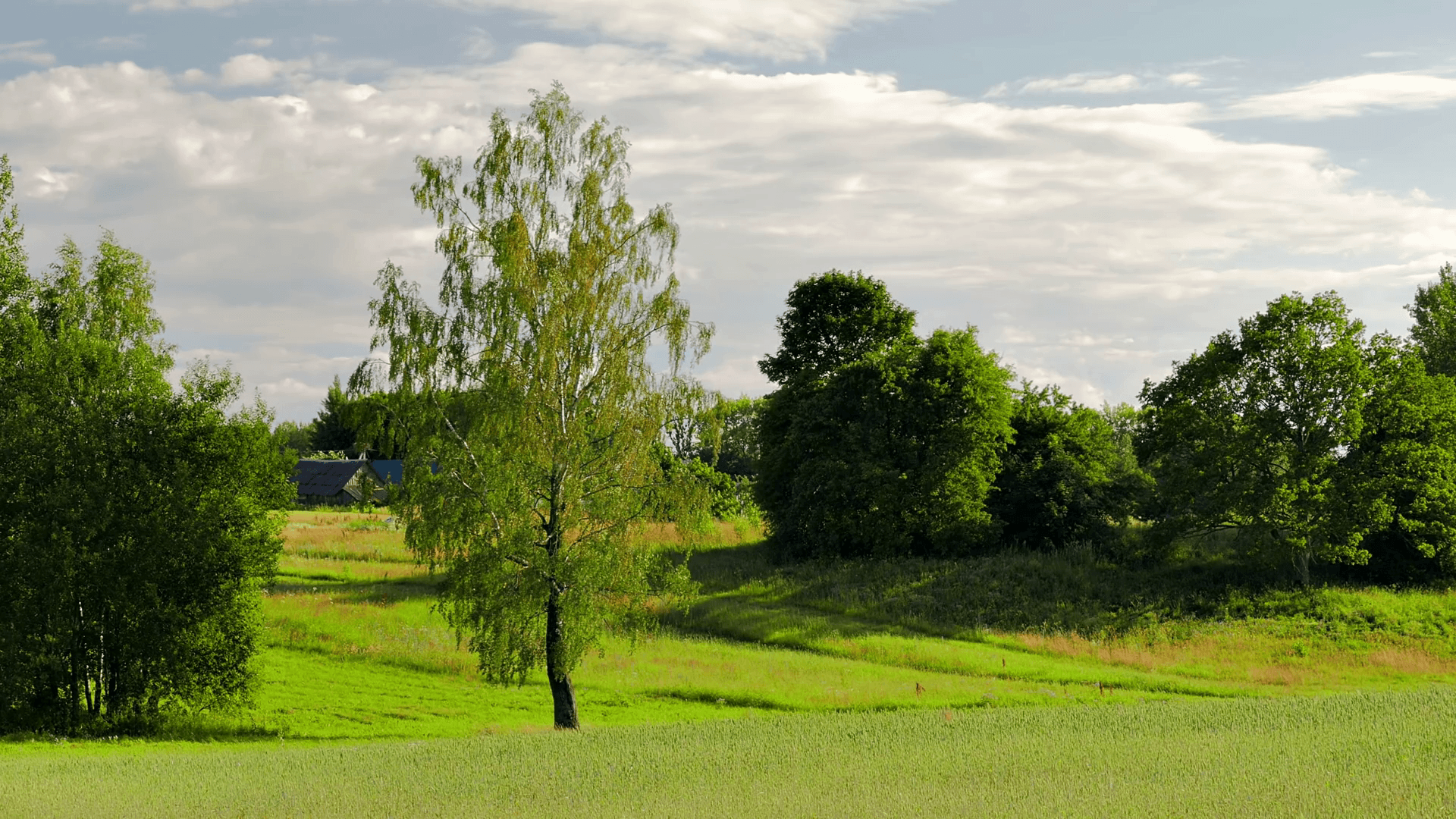 Belarus Scenery Wallpapers - Top Free Belarus Scenery Backgrounds ...