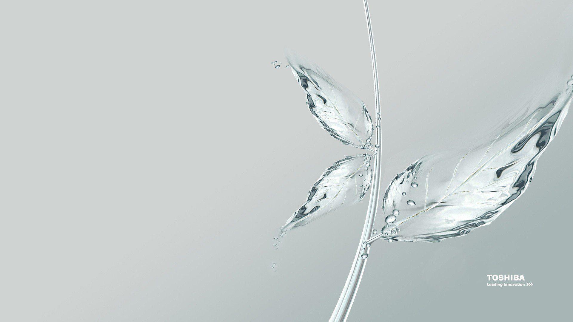 1920x1080 Leaf glass glass art wallpaperx1080