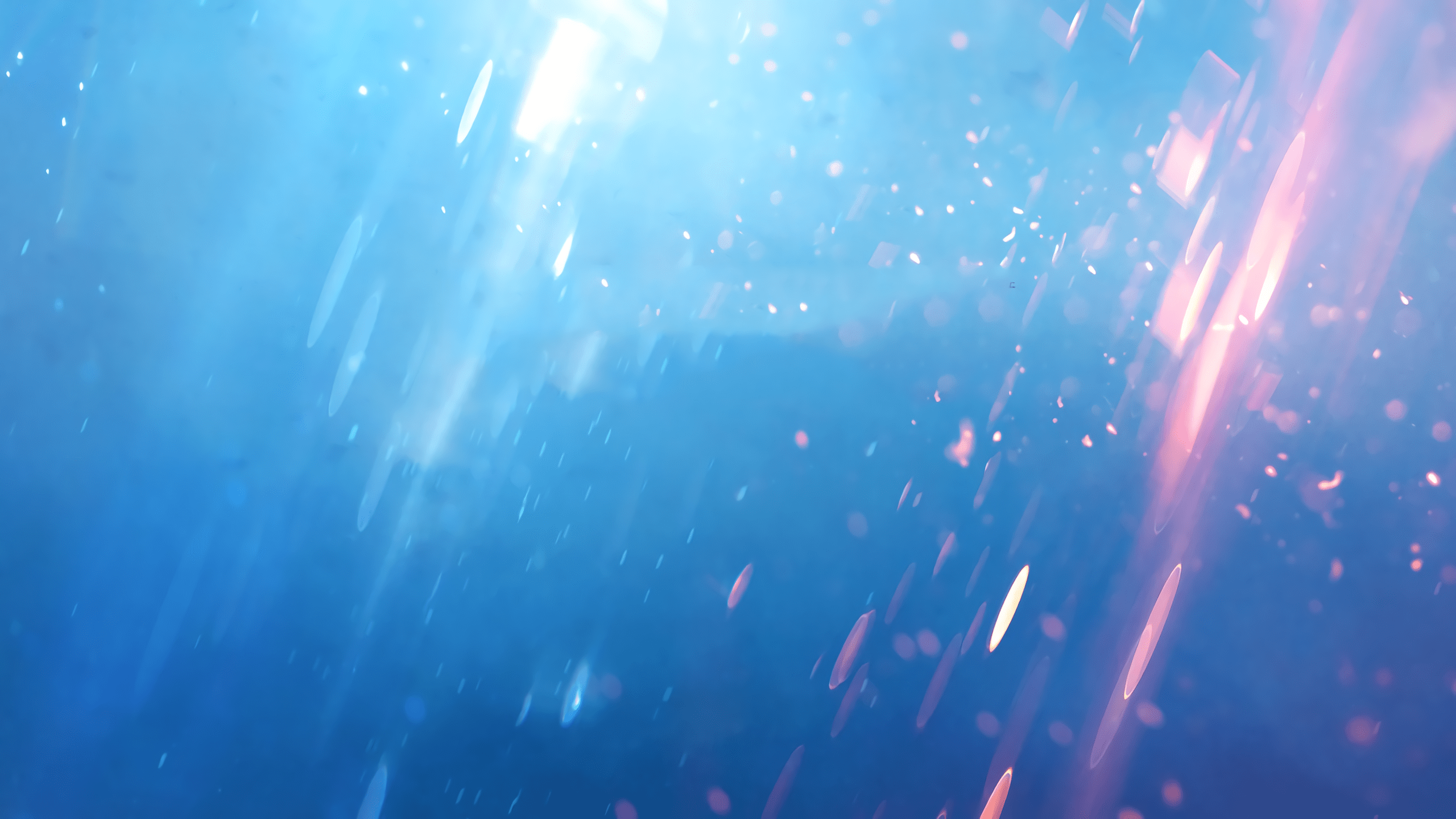 2560x1440 Battlefield V 4k wallpaper without logo