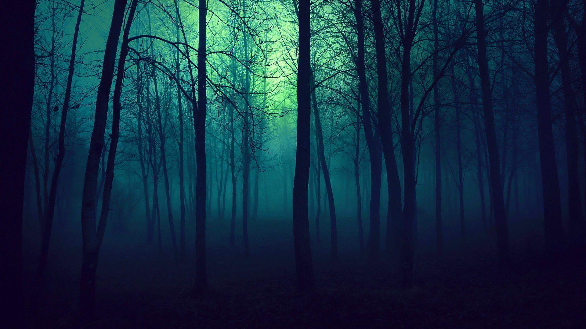 1920x1080 Dark Forest Light Nature Trees Misty Beautiful Fog Mist Wallpaper HD. Dark wood background, Forest wallpaper, Scary background