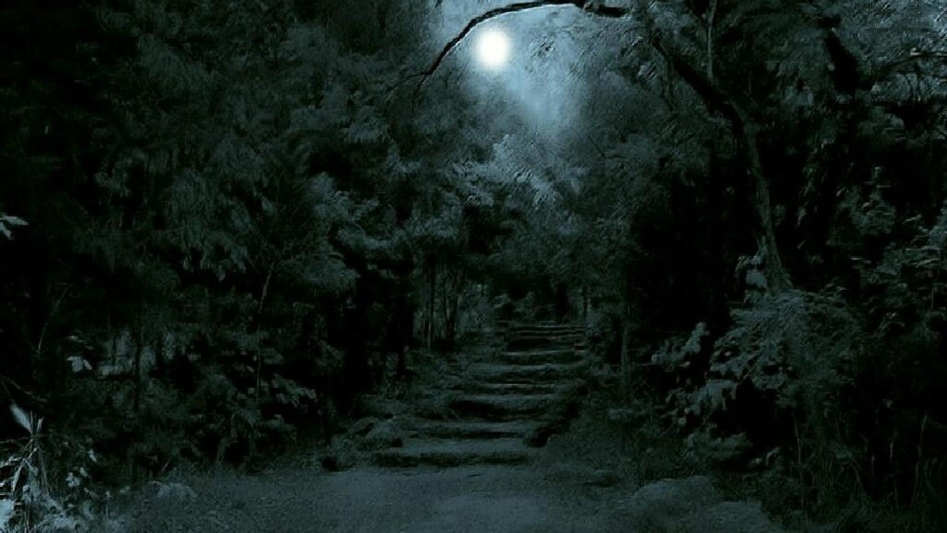 1920x1080 Dark Forest Moon Wallpaper (1920×1080). Dark Forest, Dark Picture, Desktop Wallpaper Background