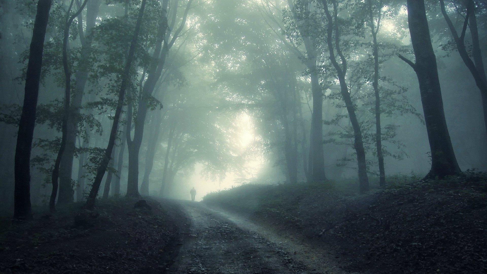 1920x1080 Disney Dark Forest Background. Beautiful Forest Wallpaper, Amazing Forest Wallpaper and Fall Forest Wallpaper