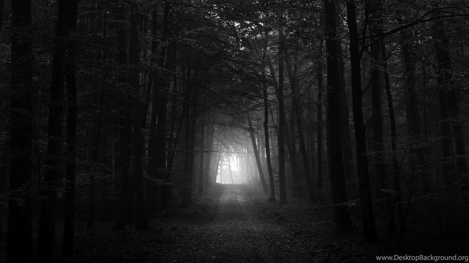 1920x1080 Dark Forest Wallpaper 11 Cool HD Wallpaper Hdnaturewall.com Desktop Background