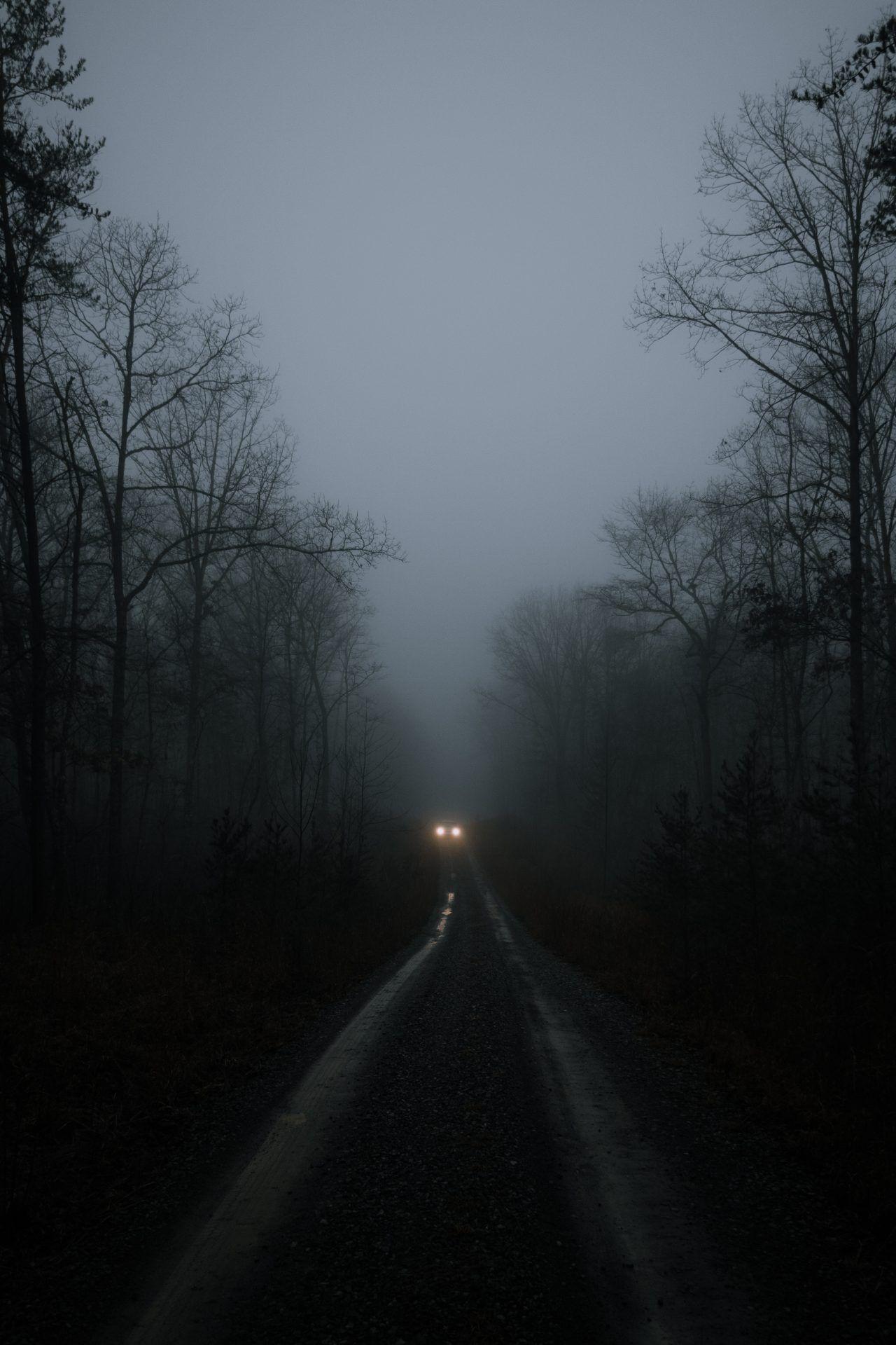 1280x1920 Dark Forest Wallpaper For Android 1280p width 240