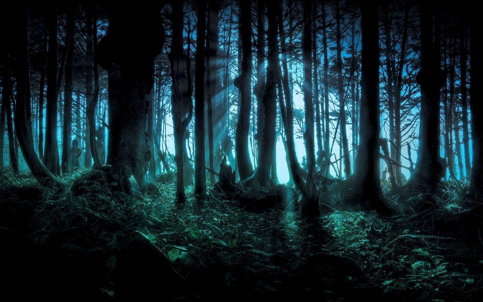 1600x1000 Free download Dark Forest Wallpaper Daily Background in HD [1600x1000] for your Desktop, Mobile & Tablet. Explore Dark Forest HD Wallpaper. Black Forest Wallpaper, Dark Woods Wallpaper, Creepy Forest Wallpaper