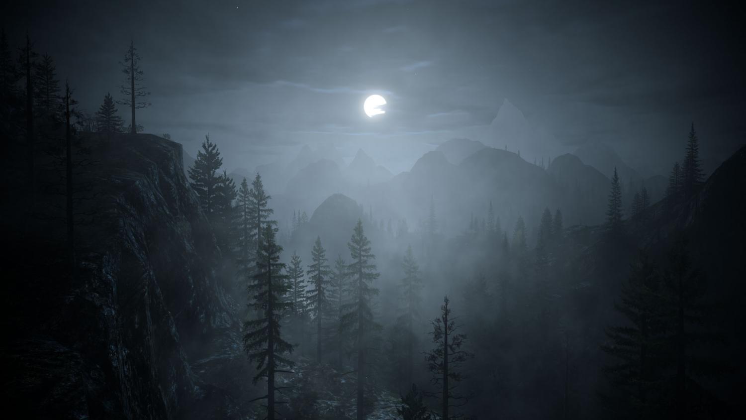 1500x844 Dark Forest Background Photo